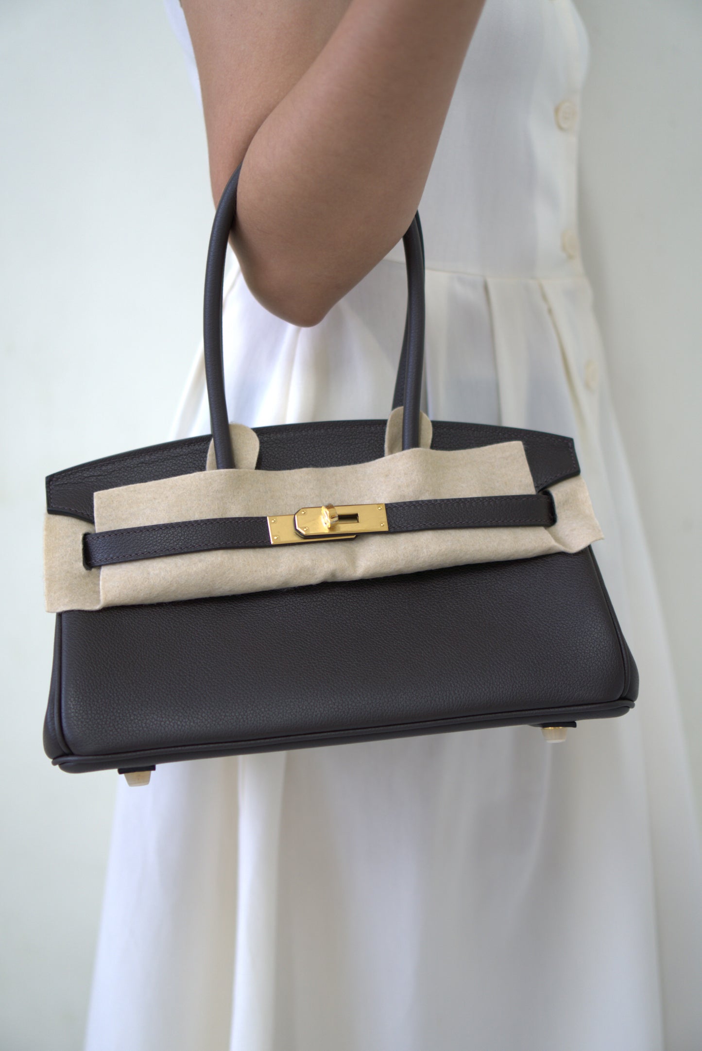 Birkin 29 in Ebene Evercolor