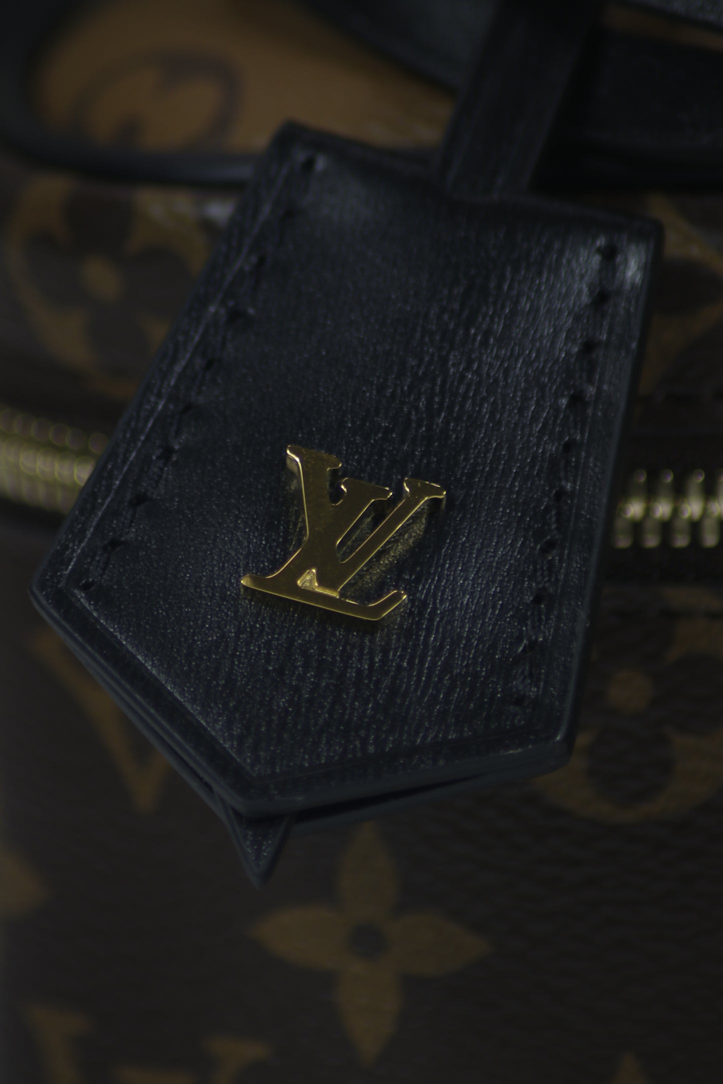 Vanity PM – Monogram Canvas with Black Leather Trim