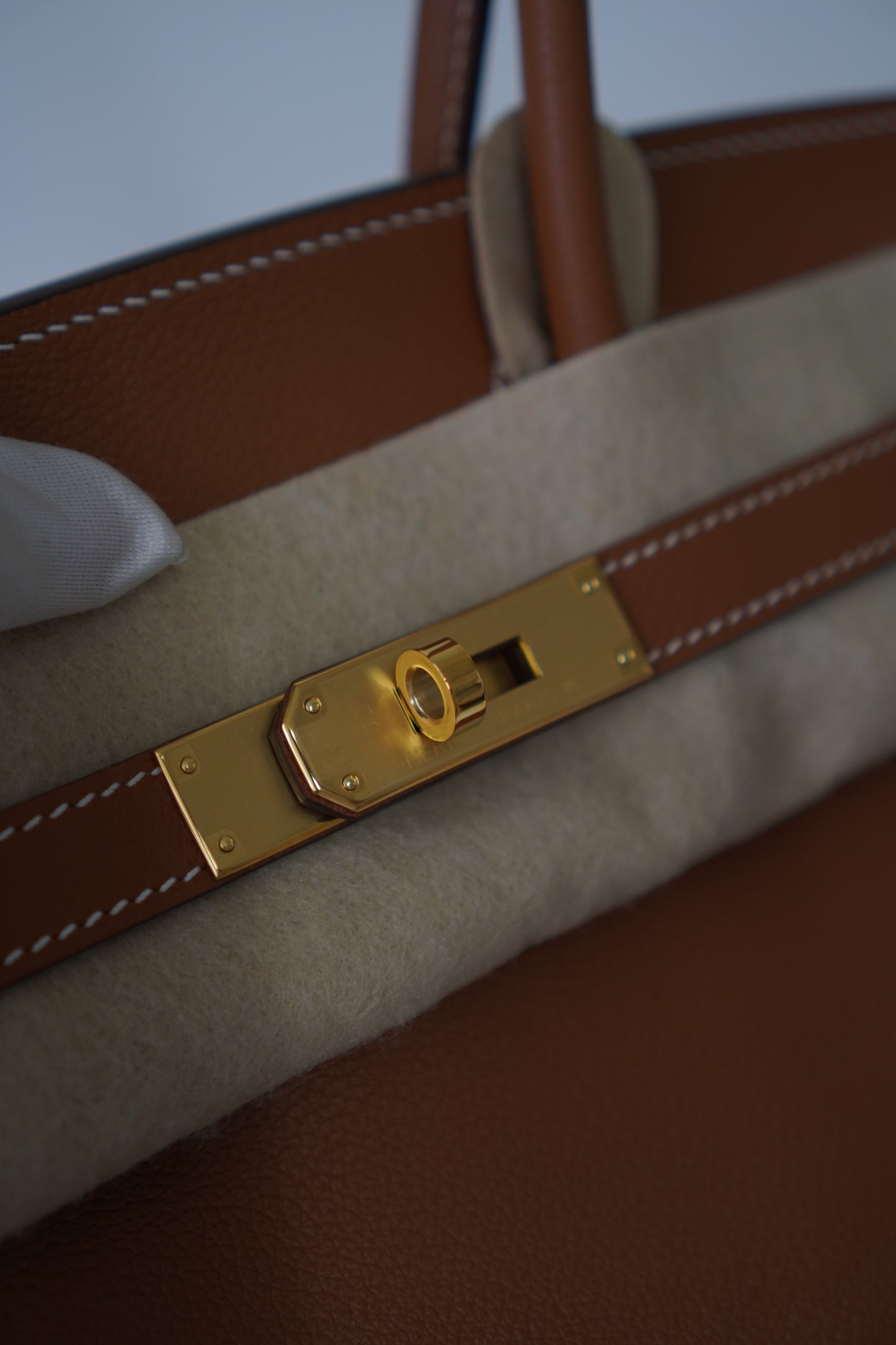 Birkin 29 in Gold on Gold Evercolor
