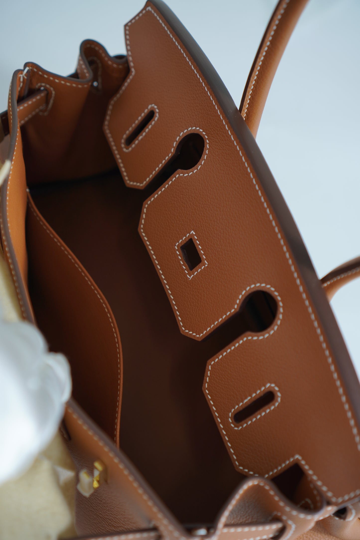 Birkin 29 in Gold on Gold Evercolor
