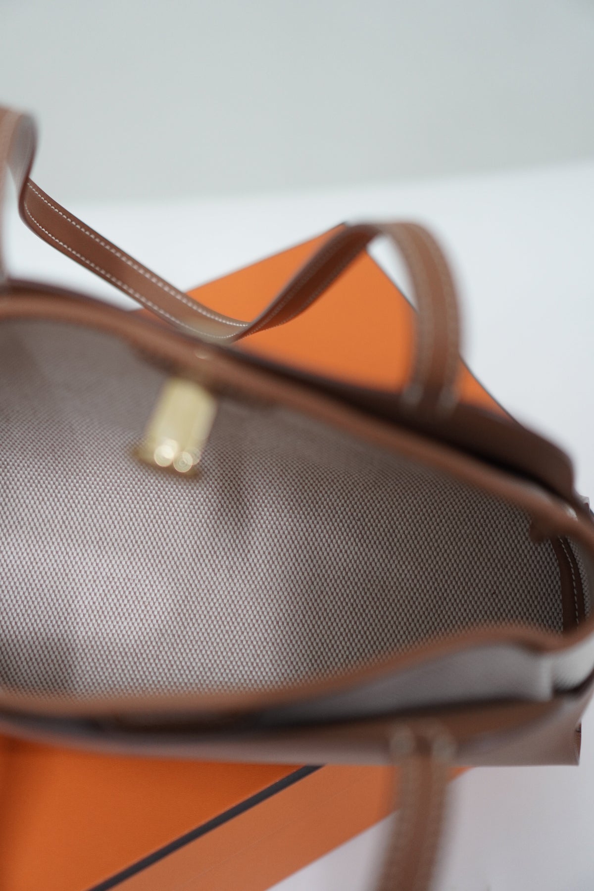 Tablier Sellier bag in Gold/Fauve