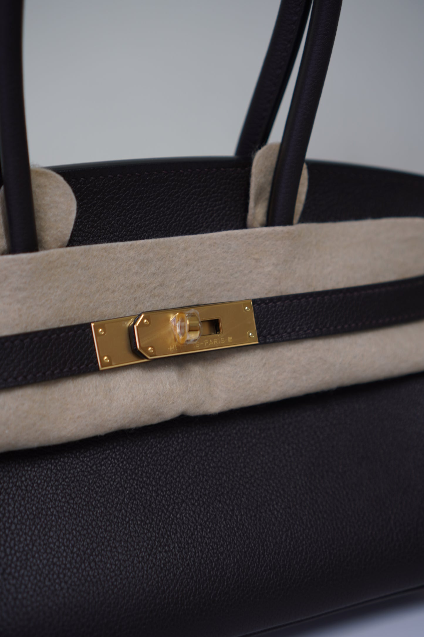 Birkin 29 in Ebene Evercolor