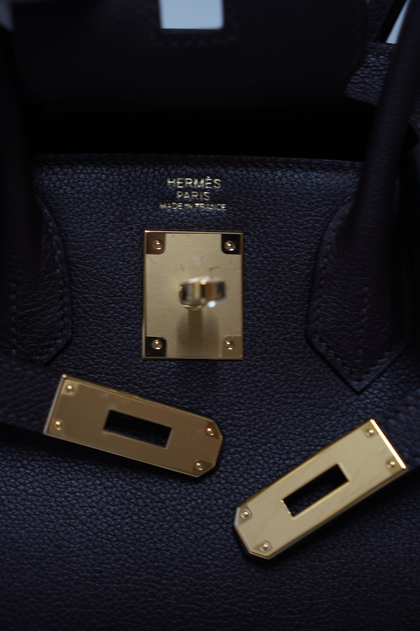 Birkin 29 in Ebene Evercolor