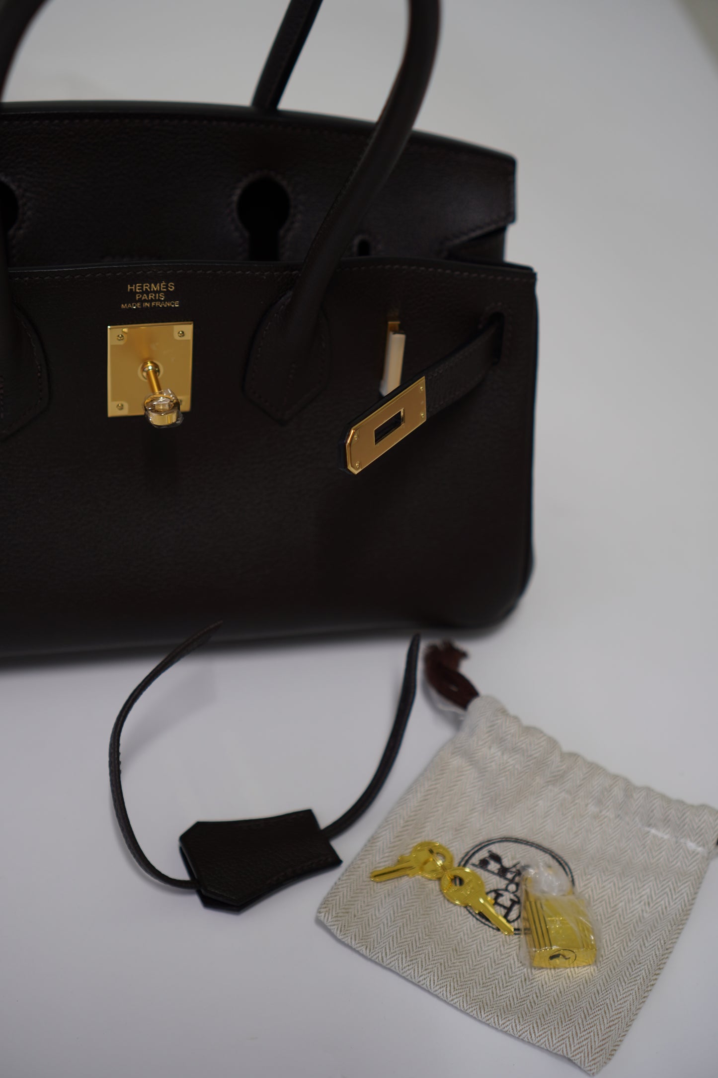 Birkin 29 in Ebene Evercolor