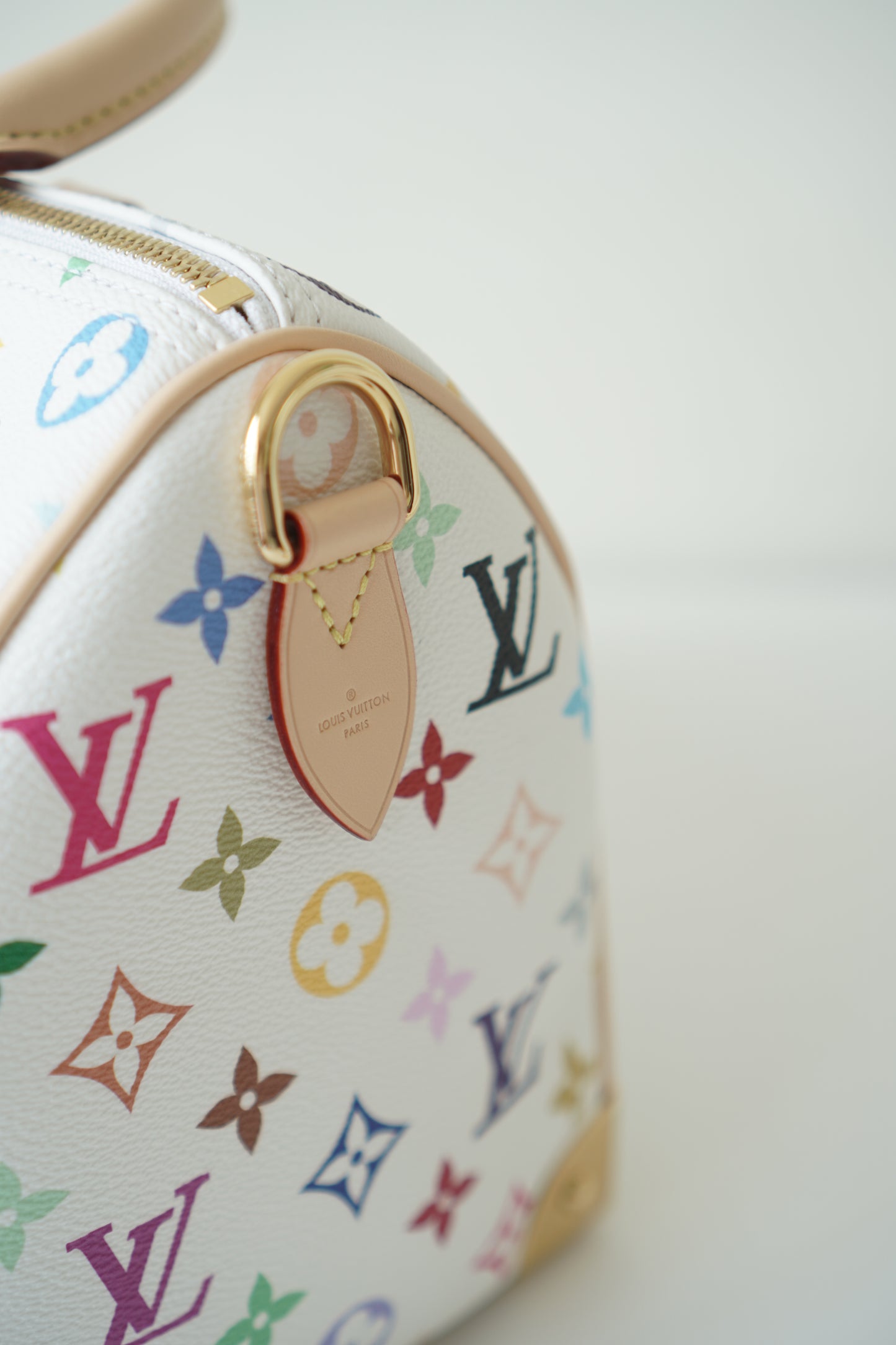 Speedy 25 in Murakami Multicolor