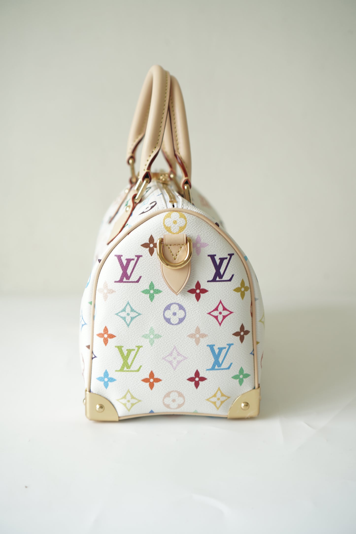 Speedy 25 in Murakami Multicolor
