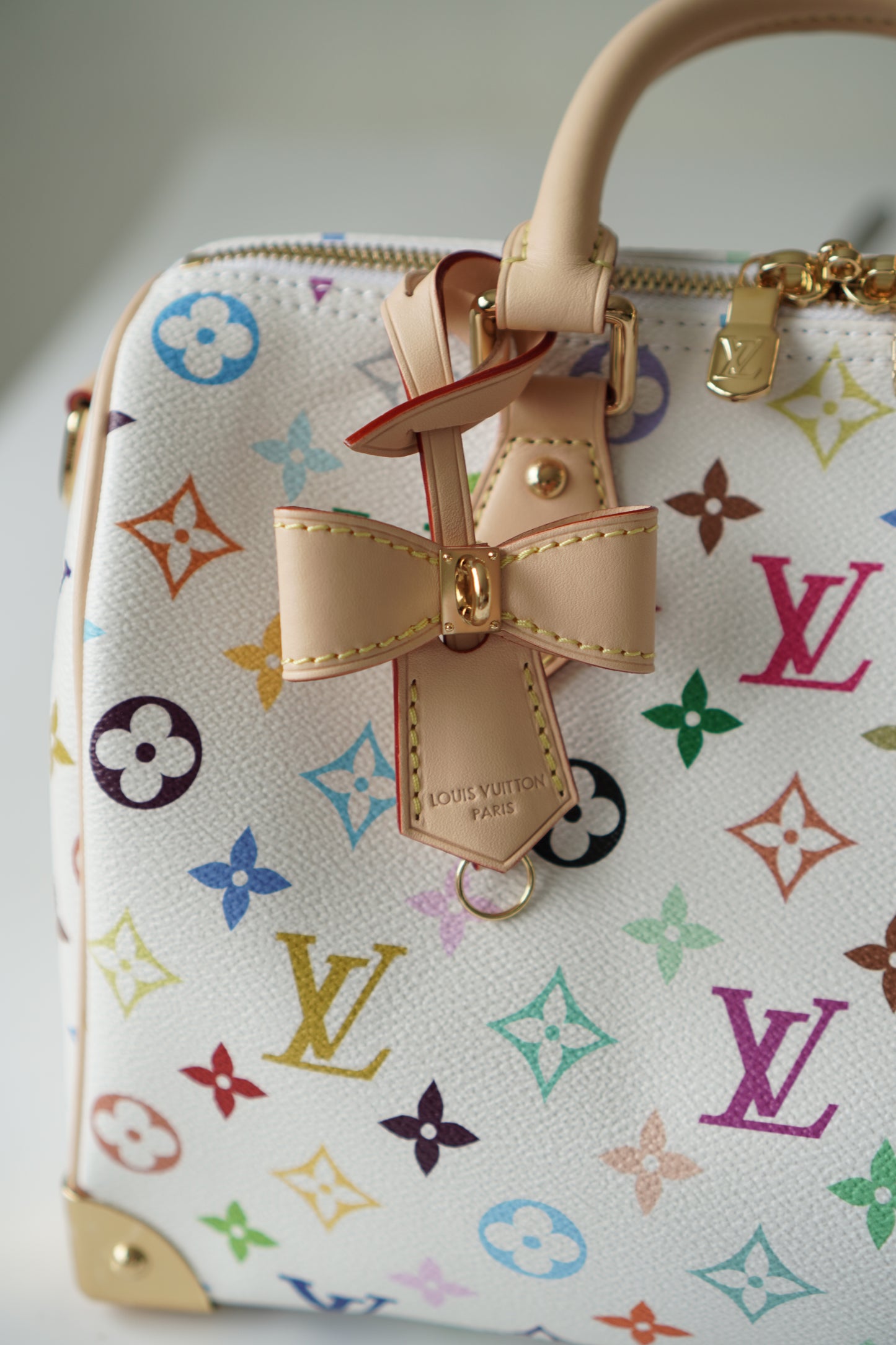 Speedy 25 in Murakami Multicolor