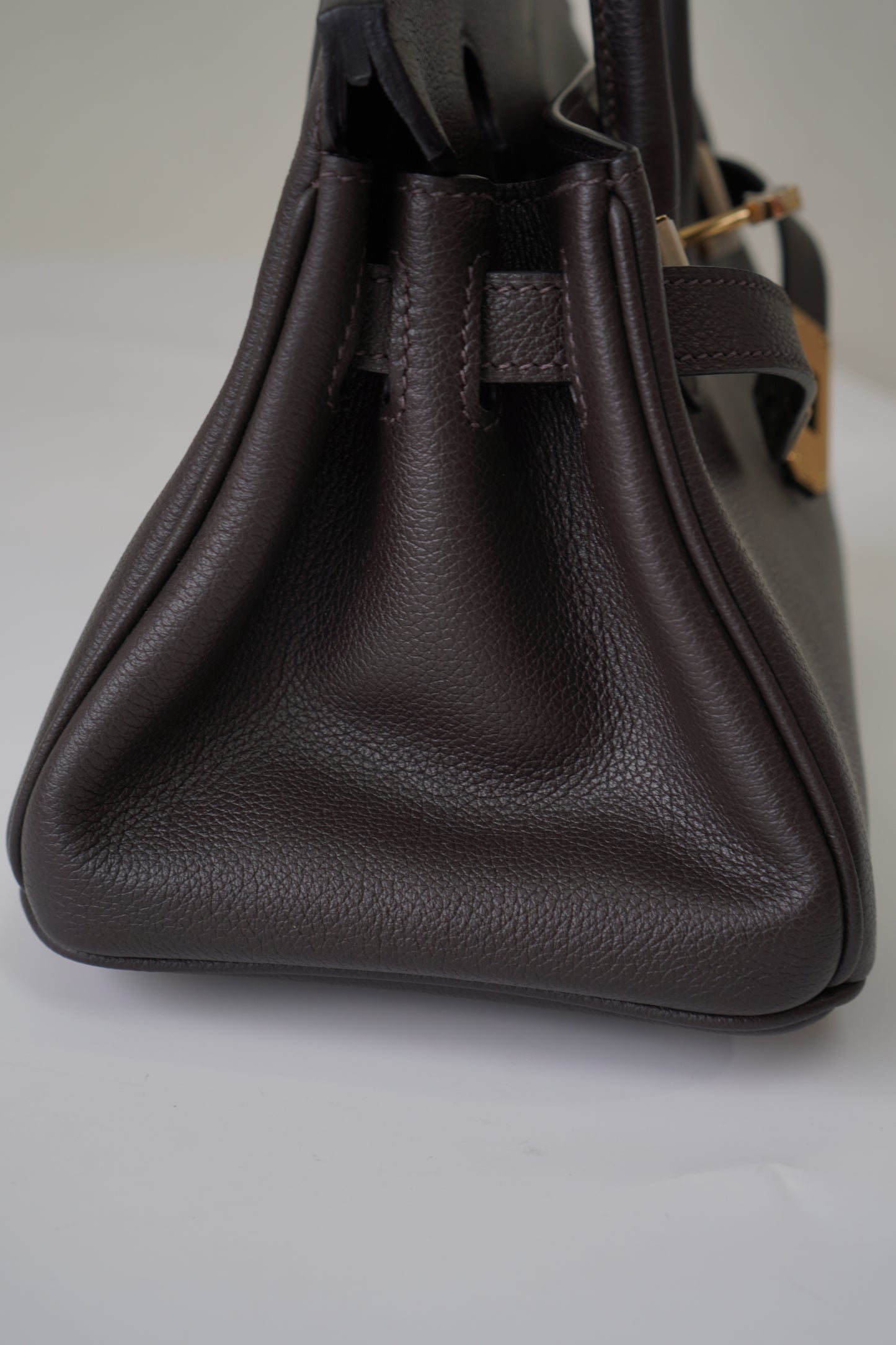 Birkin 29 in Ebene Evercolor
