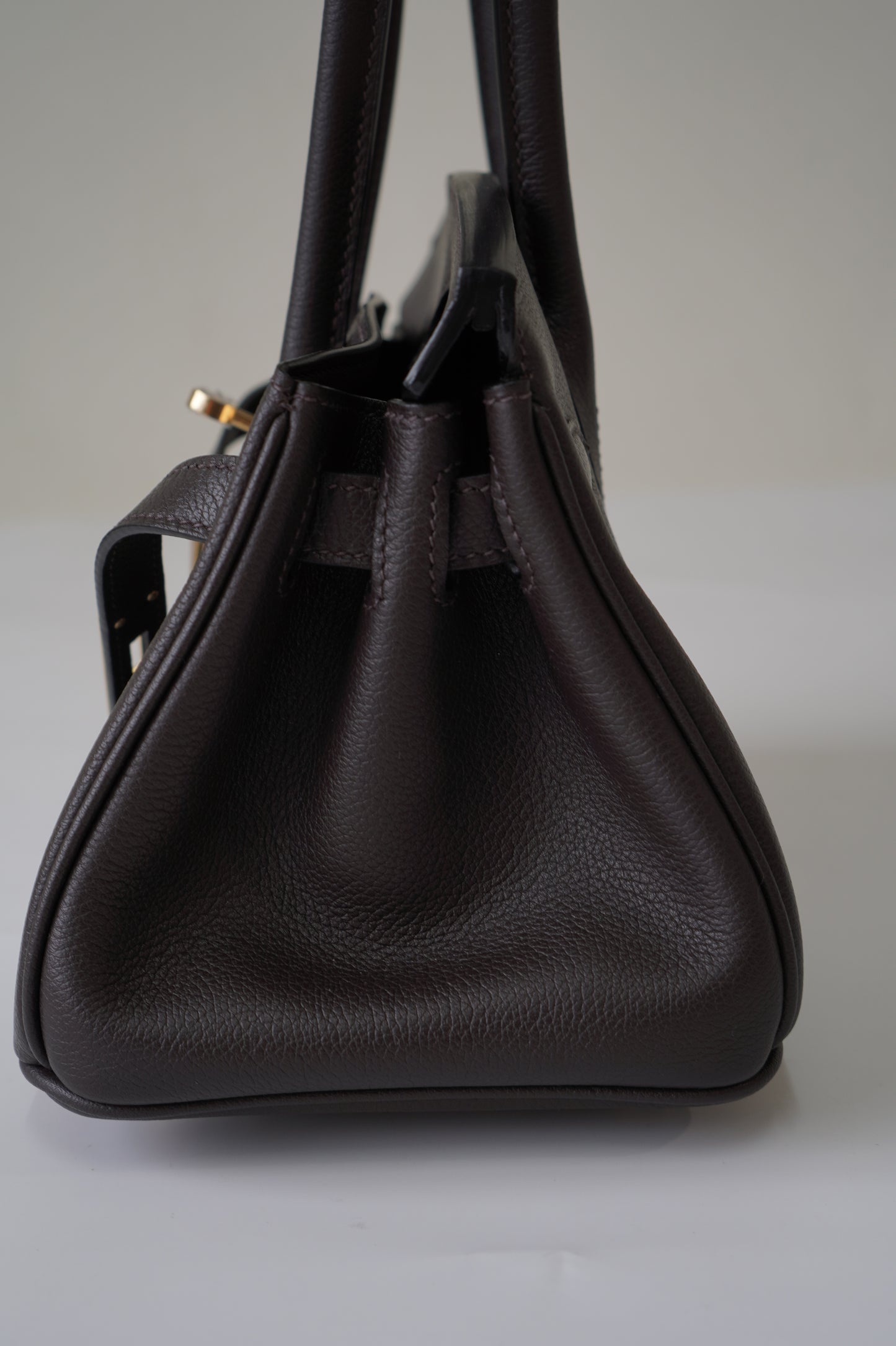 Birkin 29 in Ebene Evercolor