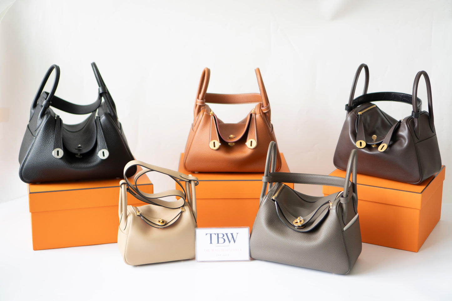 Mini Lind – Chai Swift Leather with Salmon Pink Interior and Gold Hardware