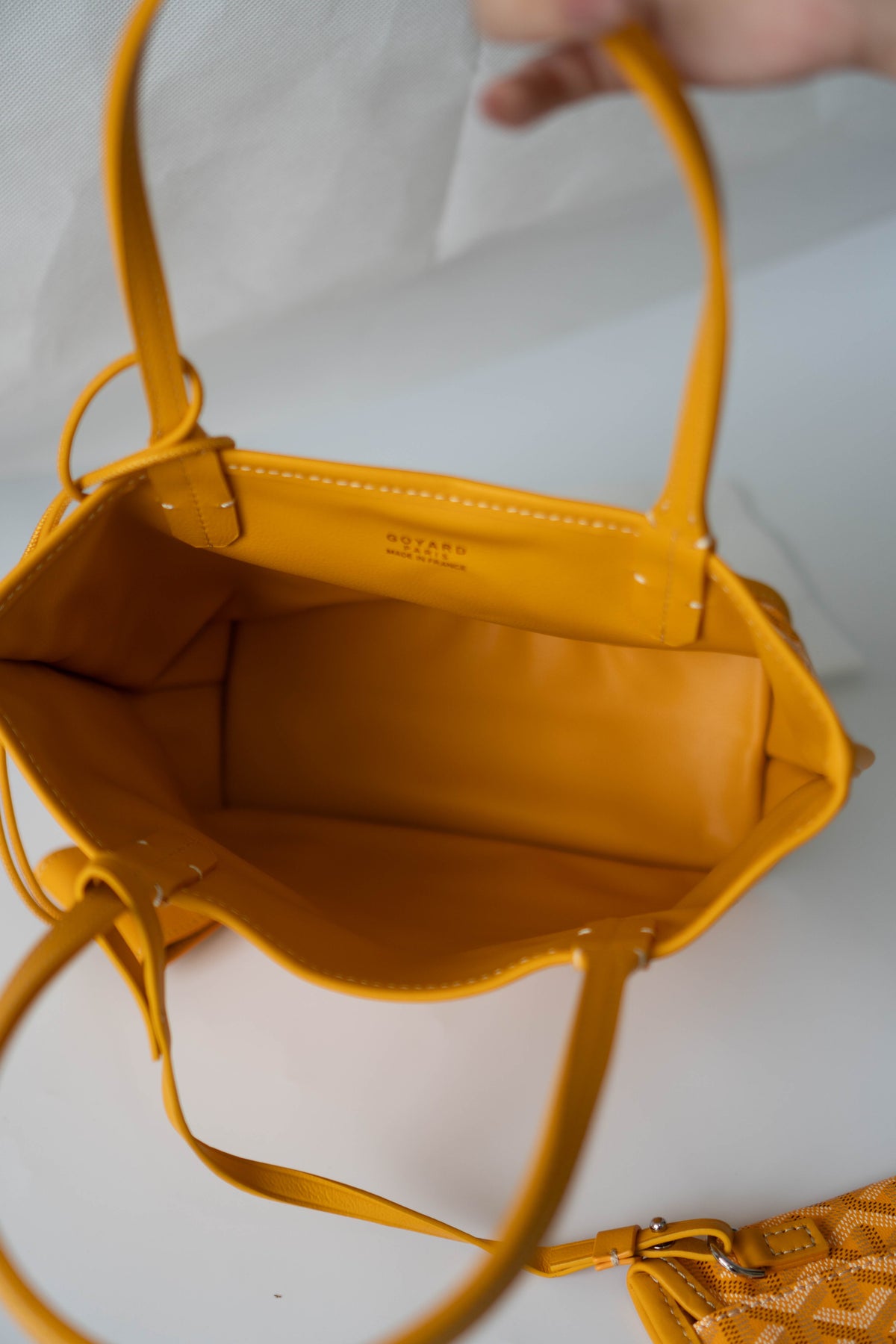 Mini Anjou – Yellow Goyrdine Canvas