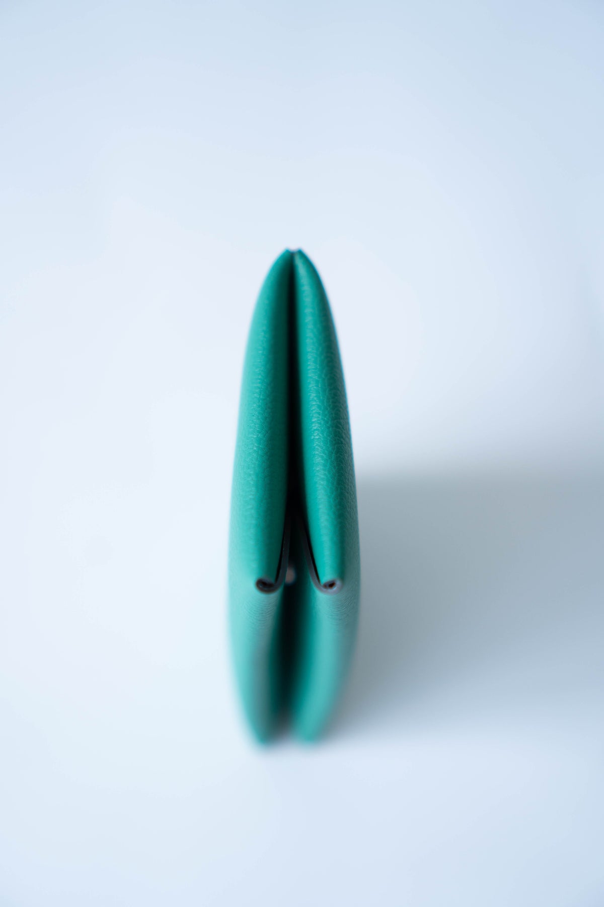 Calvi Duo in Vert Comics Chèvre leather