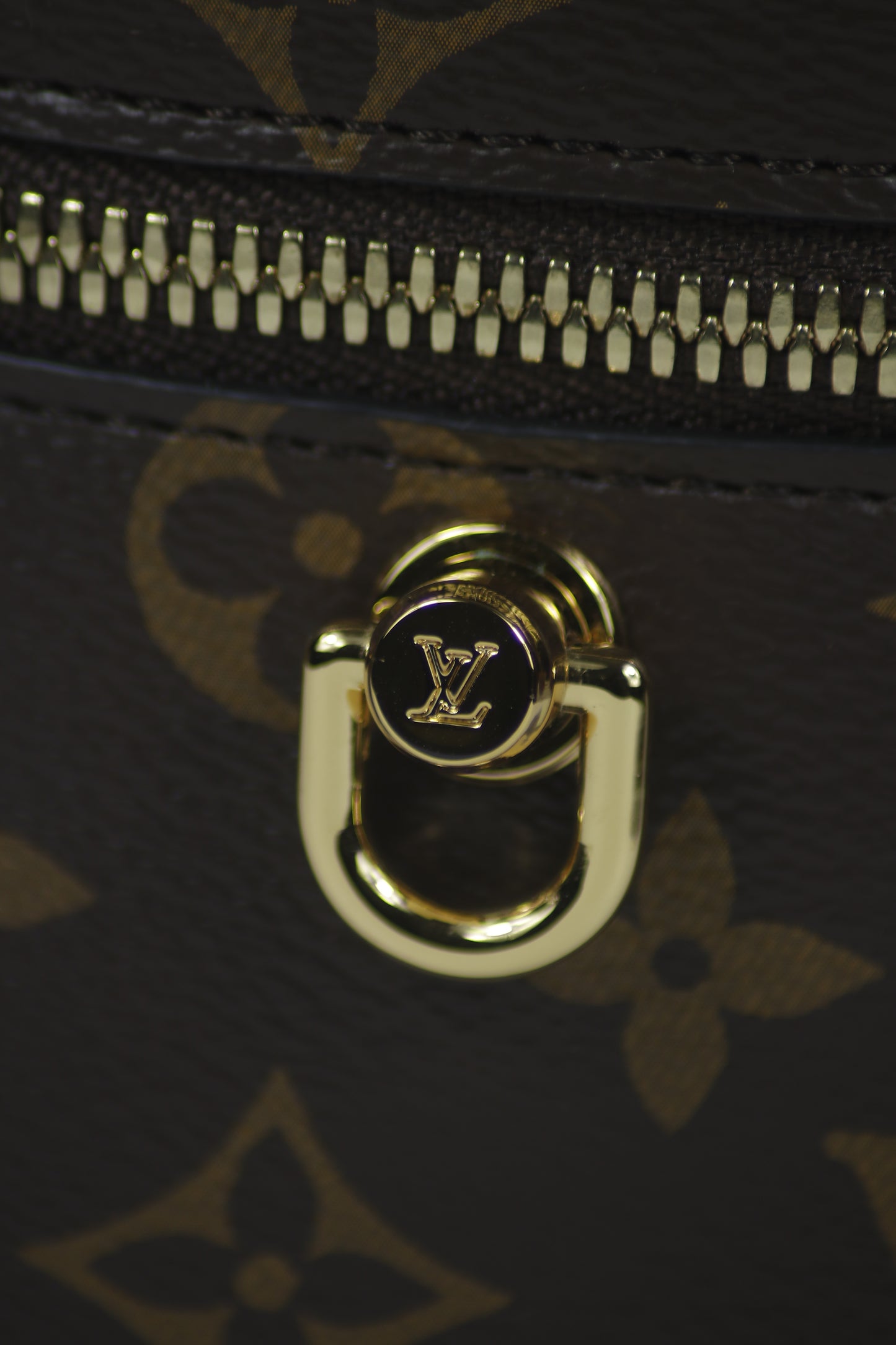 Vanity PM – Monogram Canvas with Black Leather Trim