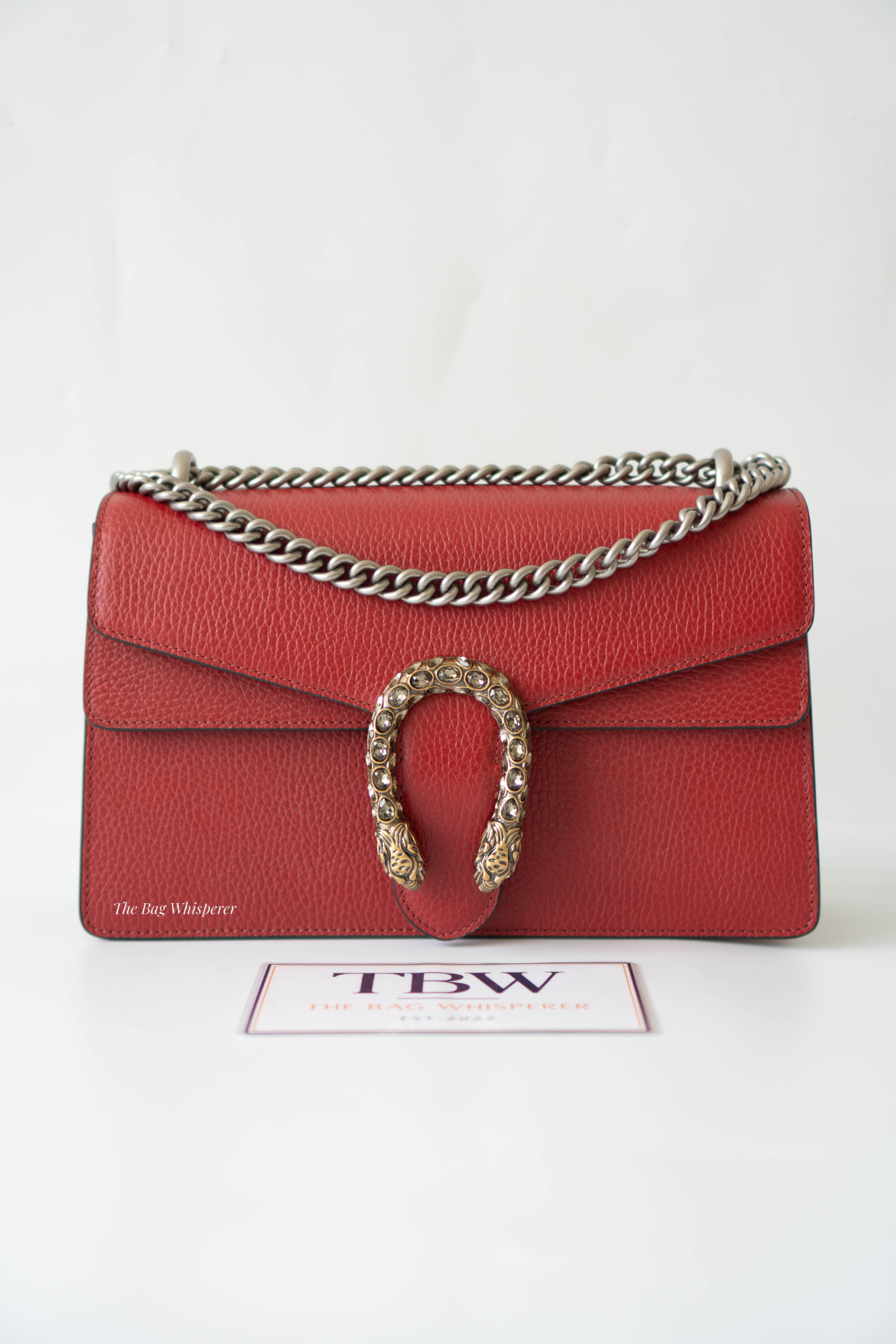Dionysus Medium – Red Textured Leather with Antique Silver Hardware