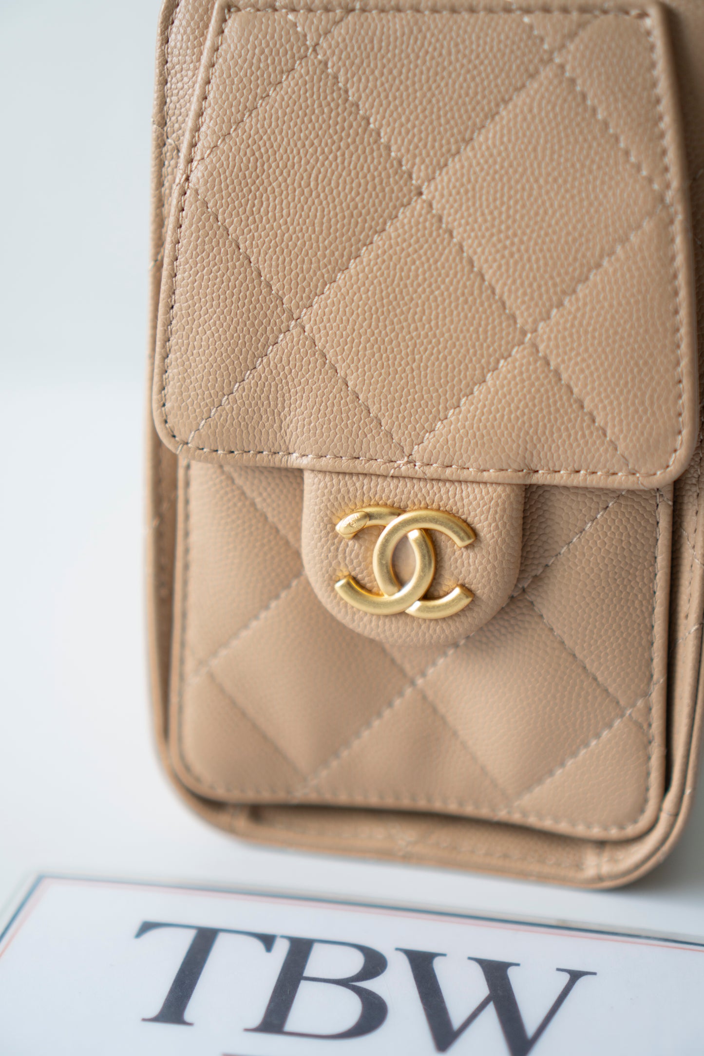 C25 Mini – Dark Beige Caviar Leather with Gold Hardware