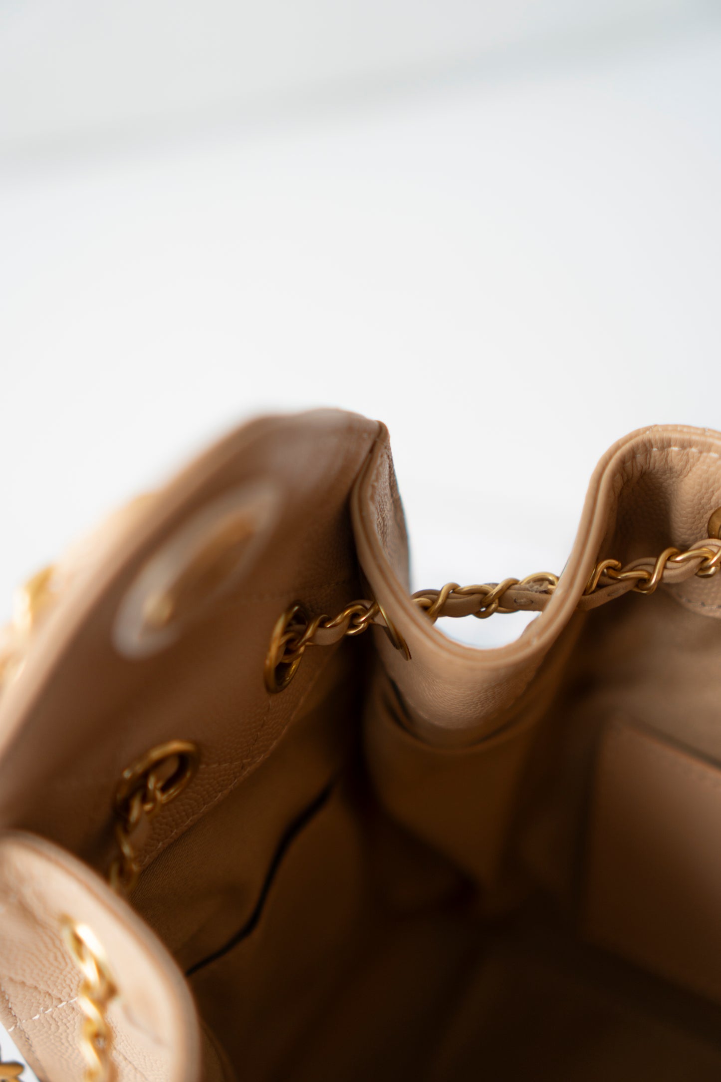 C25 Mini – Dark Beige Caviar Leather with Gold Hardware