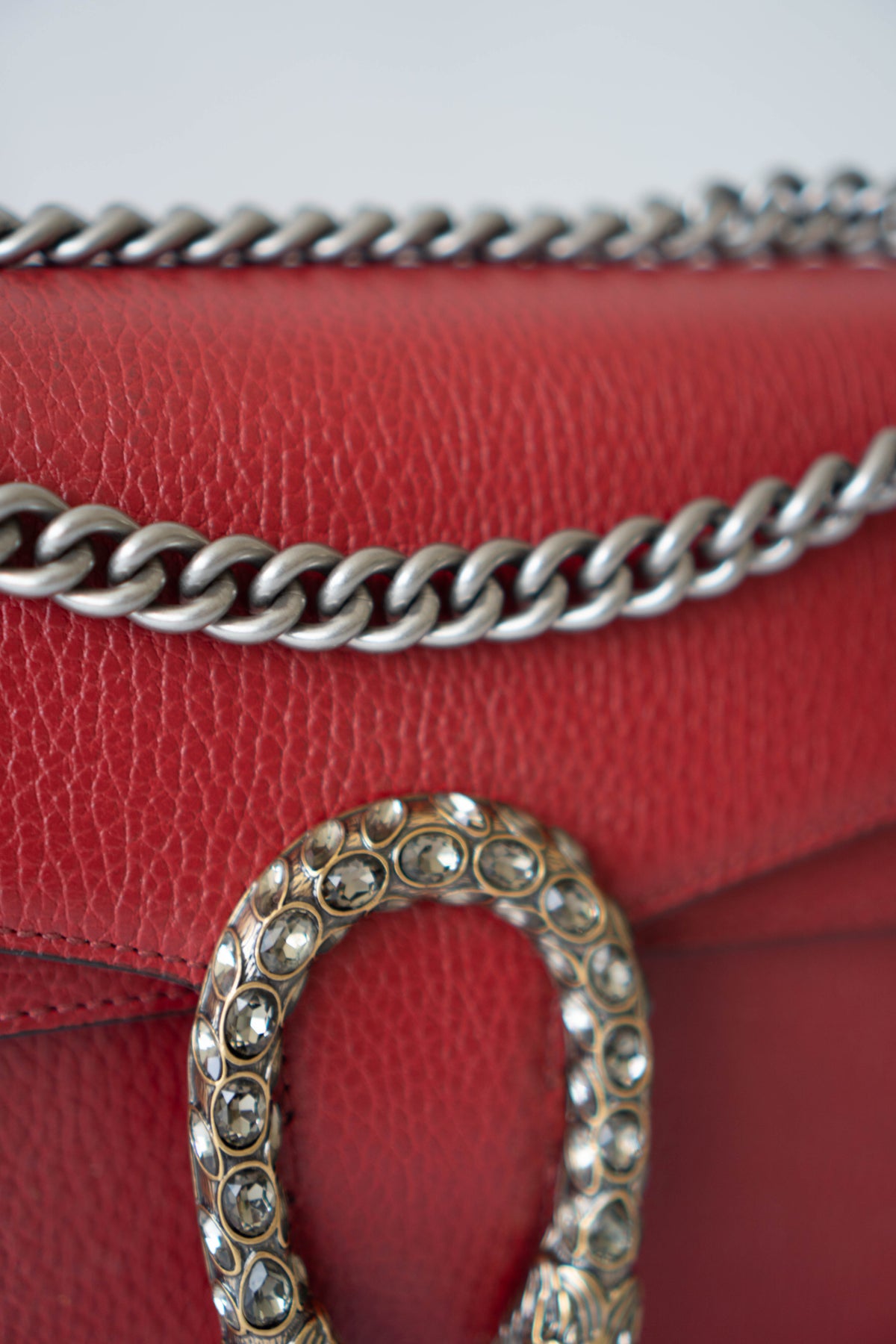 Dionysus Medium – Red Textured Leather with Antique Silver Hardware