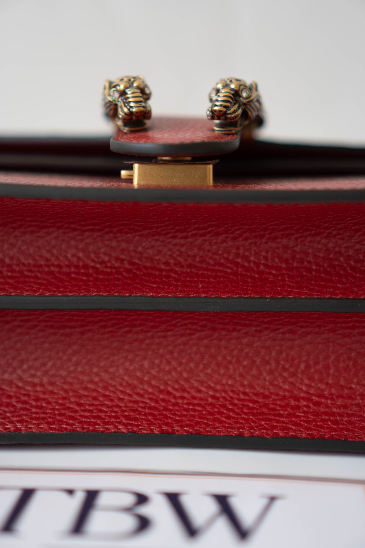 Dionysus Medium – Red Textured Leather with Antique Silver Hardware