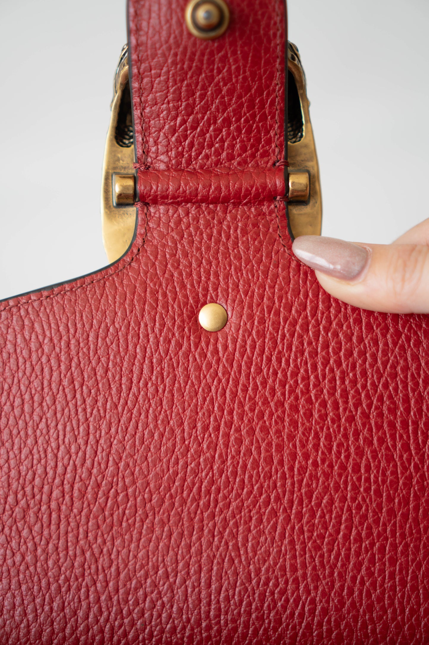 Dionysus Medium – Red Textured Leather with Antique Silver Hardware