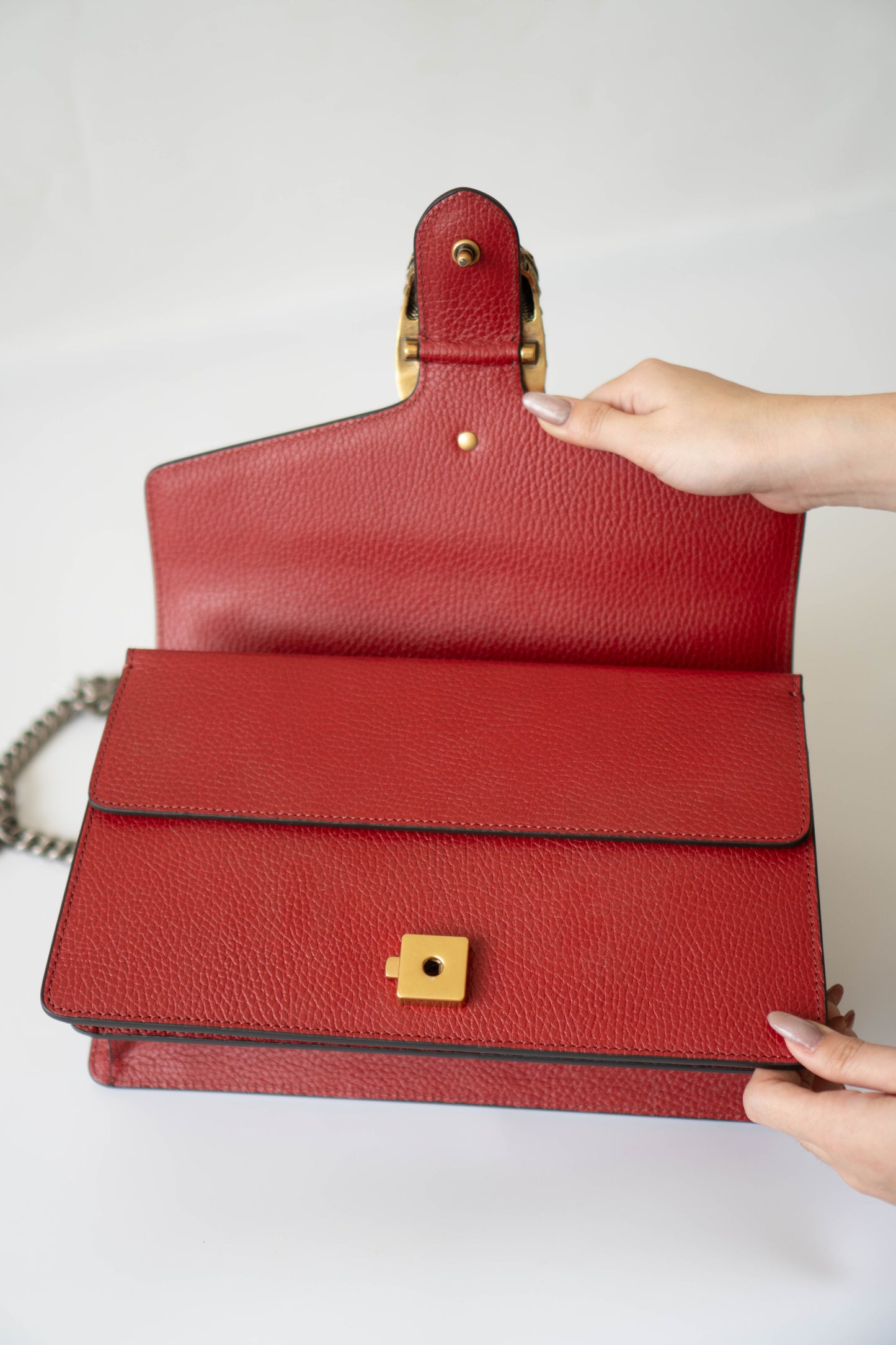 Dionysus Medium – Red Textured Leather with Antique Silver Hardware