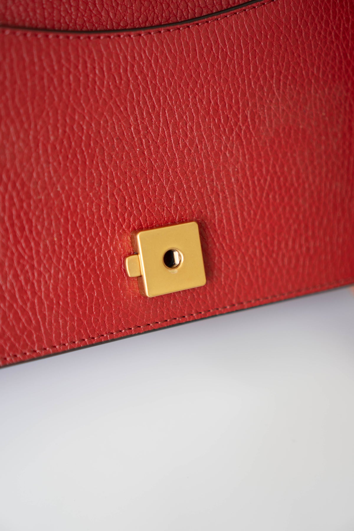 Dionysus Medium – Red Textured Leather with Antique Silver Hardware
