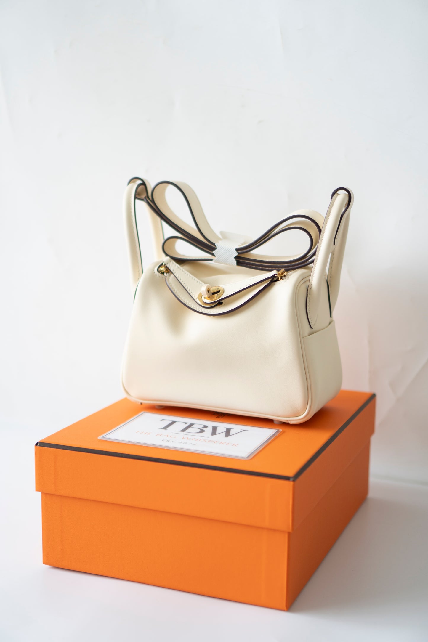 Mini Lind in Nata Swift Leather with Gold Hardware