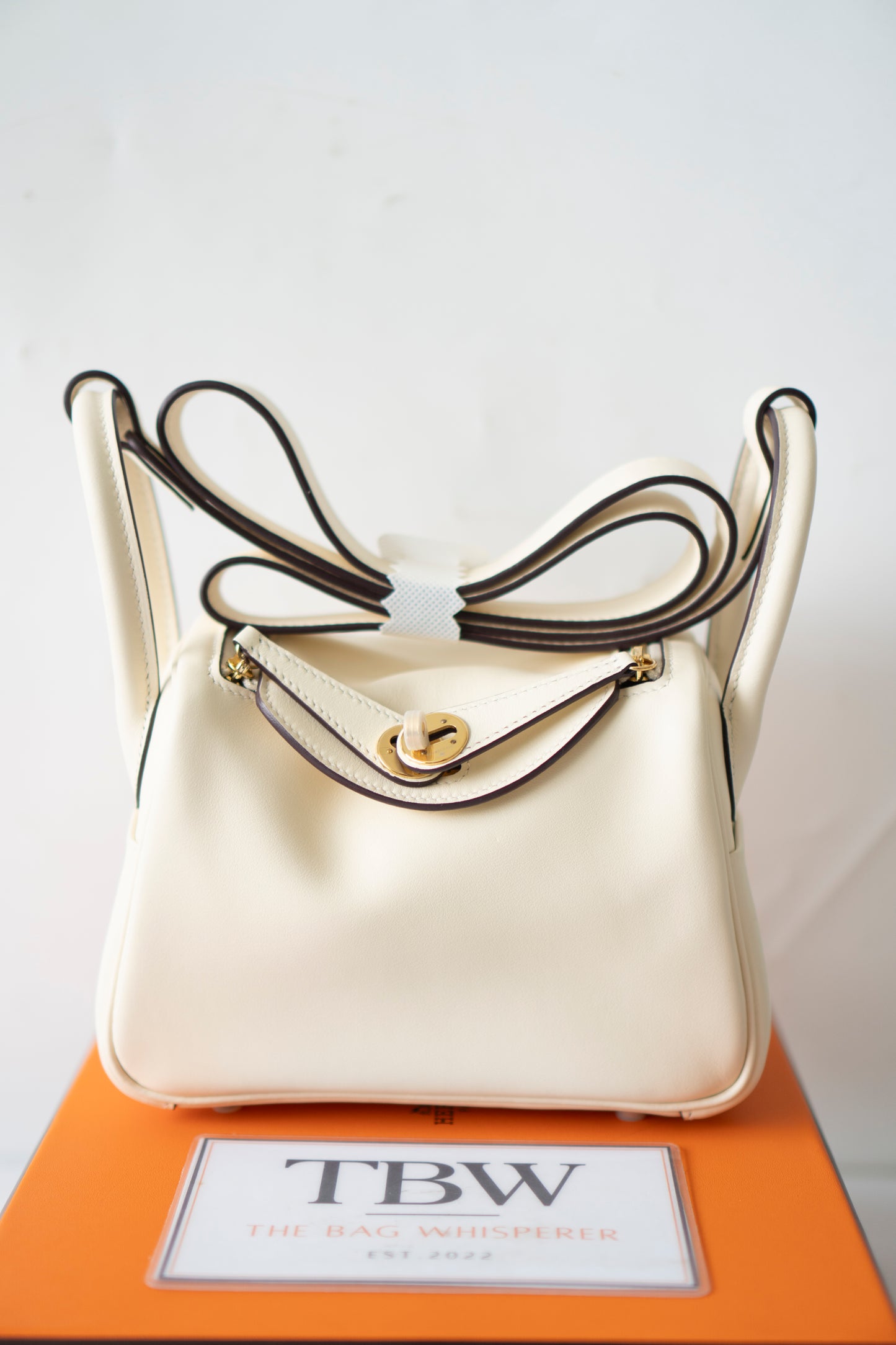 Mini Lind in Nata Swift Leather with Gold Hardware