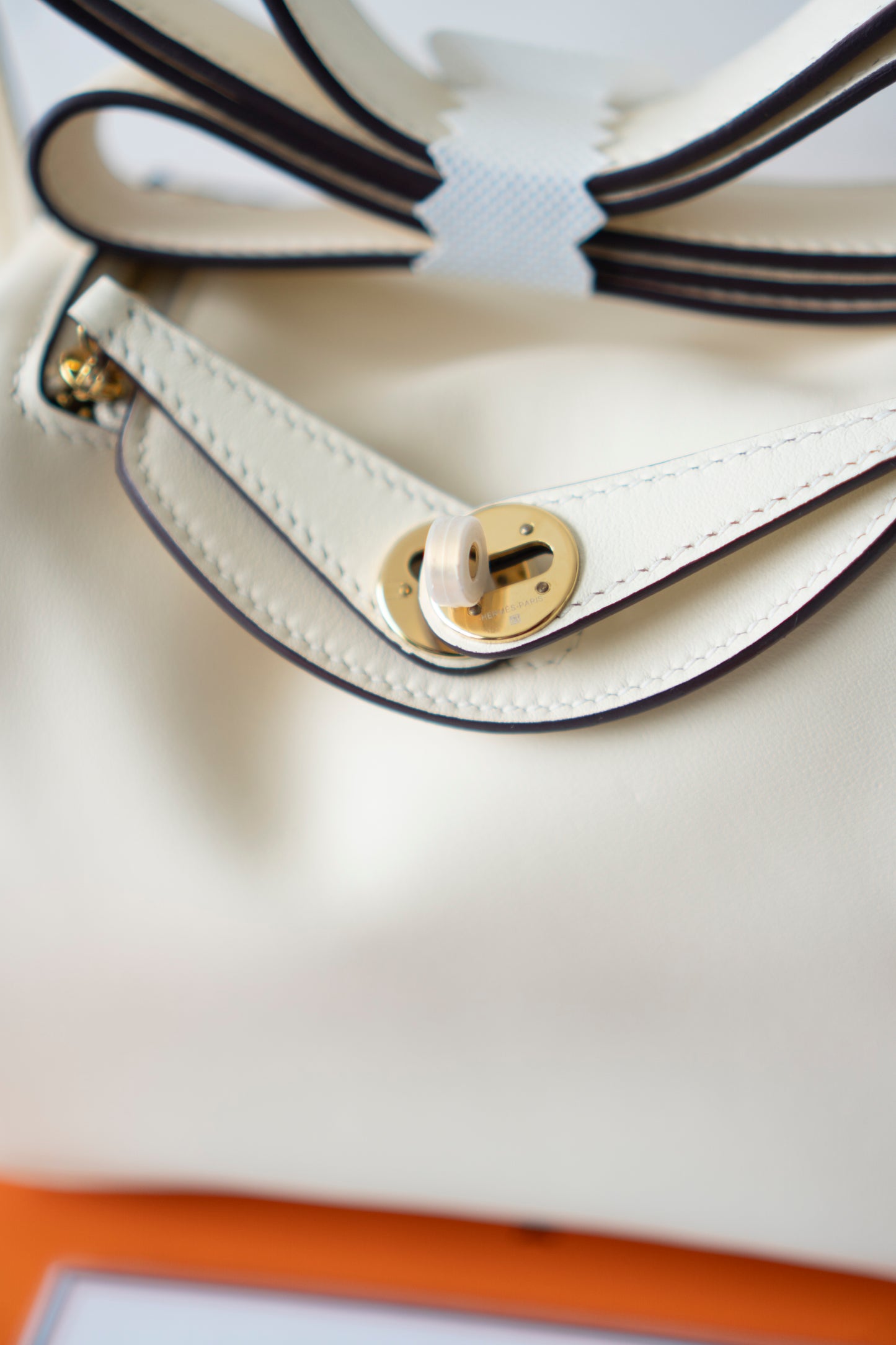 Mini Lind in Nata Swift Leather with Gold Hardware