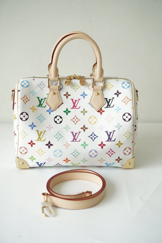 Speedy 25 in Multicolor monogram Canvas