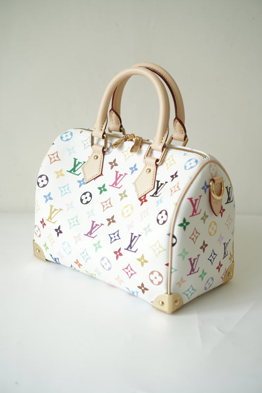 Speedy 25 in Murakami Multicolor