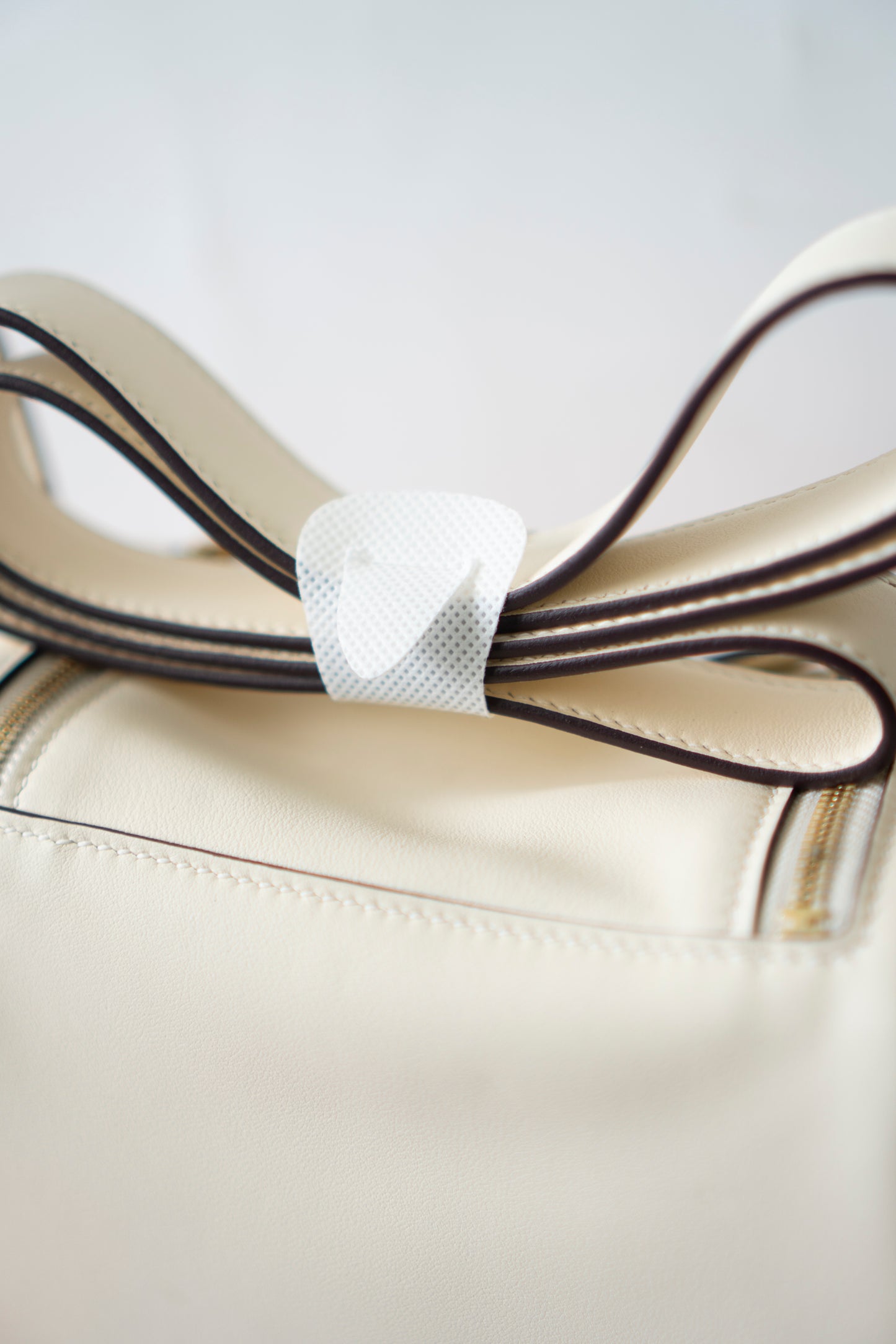 Mini Lind in Nata Swift Leather with Gold Hardware