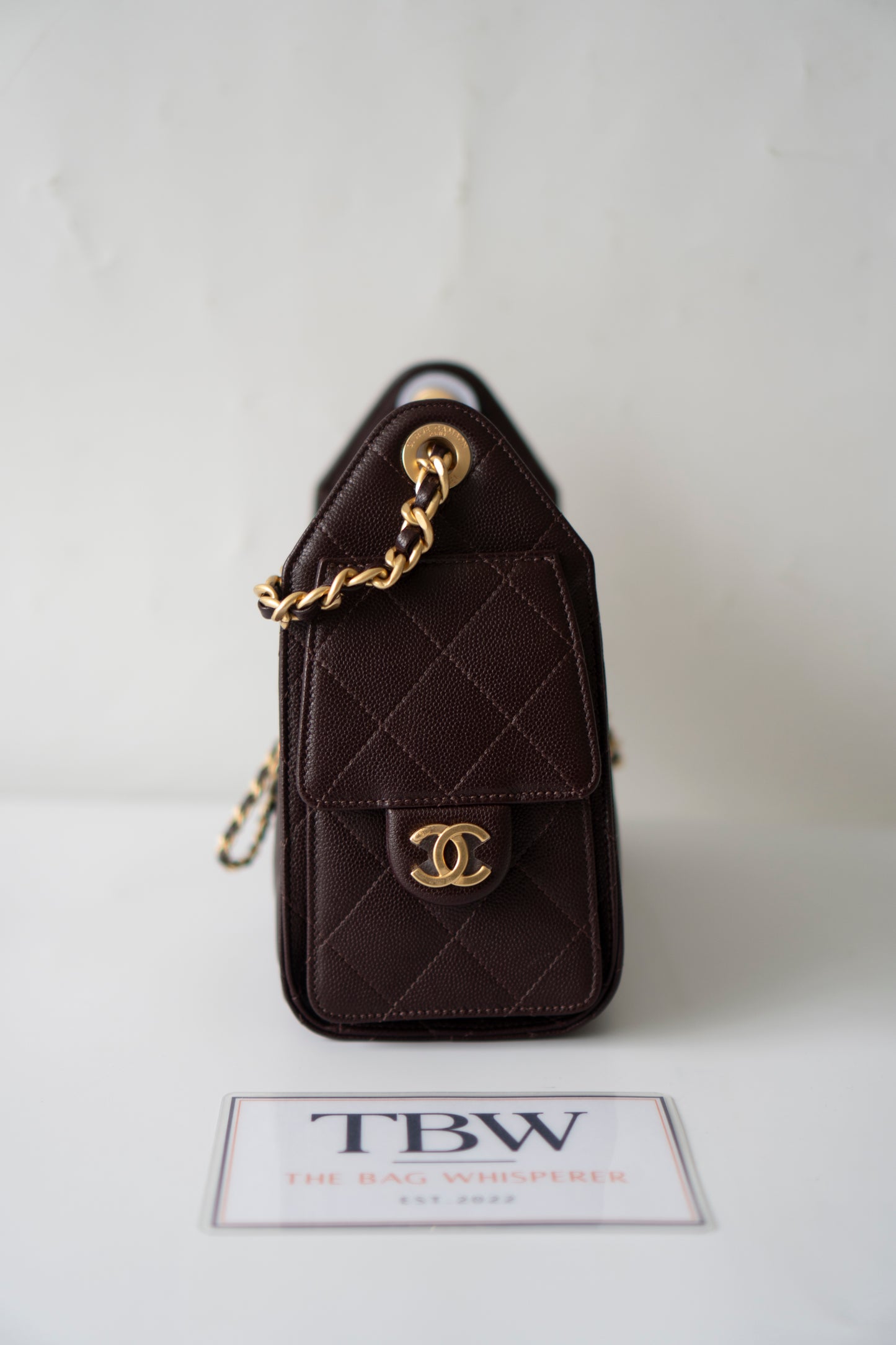 C25 Mini – Dark Brown Quilted Caviar Leather with Gold Hardware