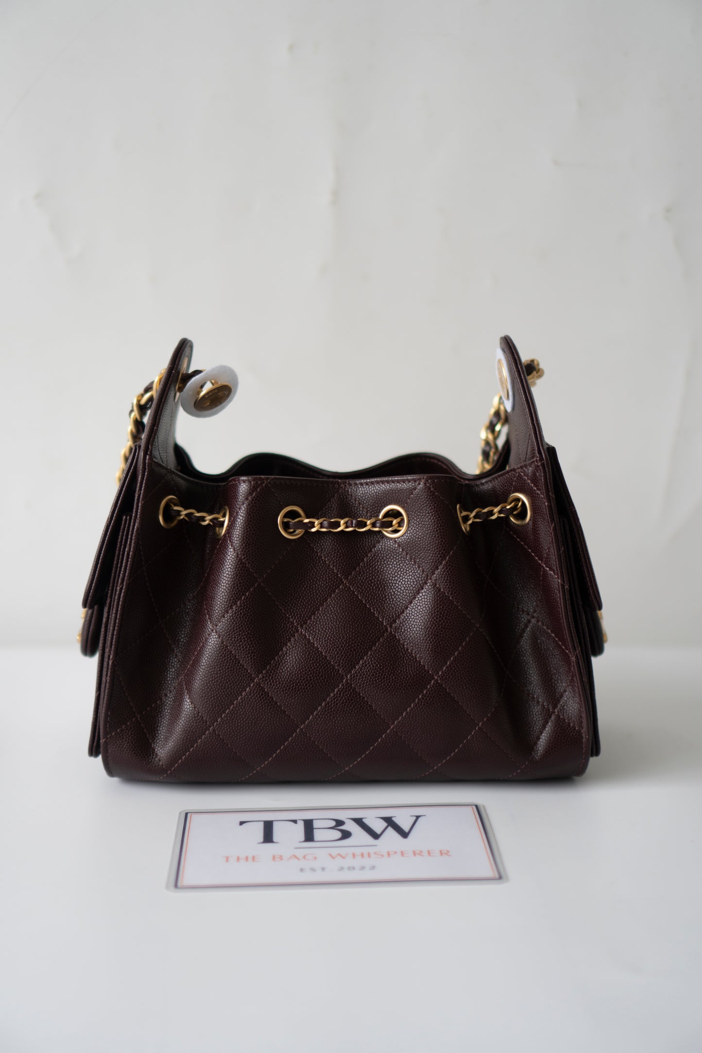 C25 Mini – Dark Brown Quilted Caviar Leather with Gold Hardware