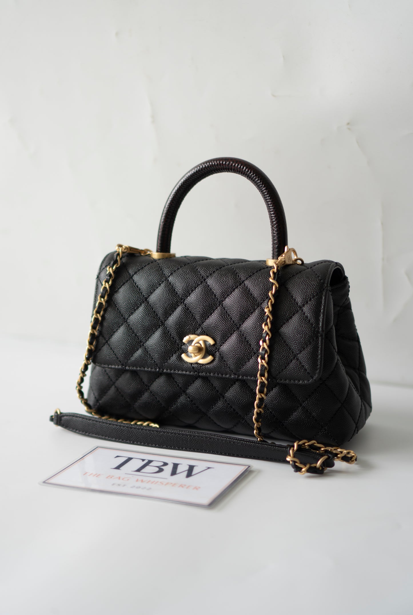 Coco Handle – Black Caviar with Gold Hardware & Snakeskin Handle
