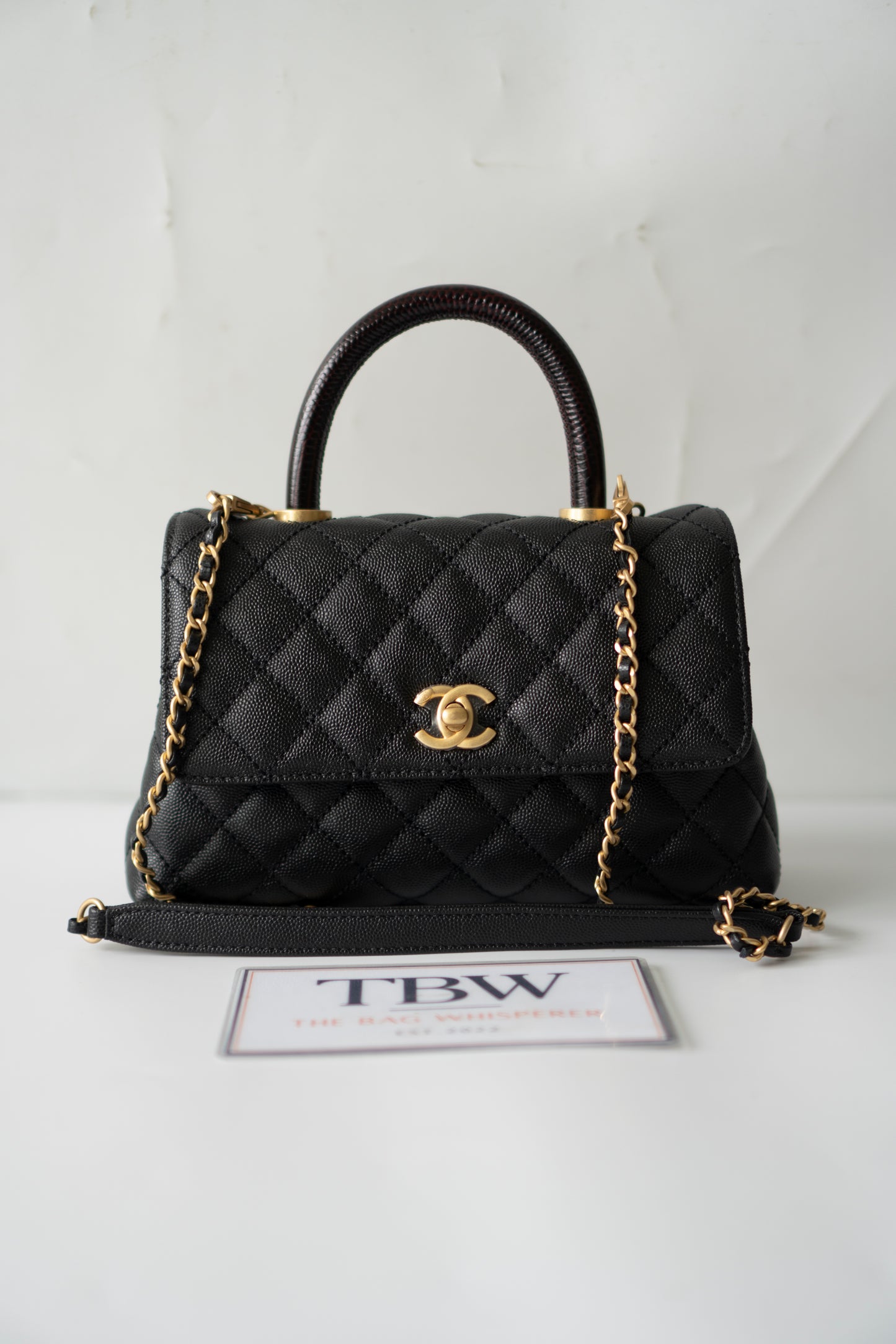 Coco Handle – Black Caviar with Gold Hardware & Snakeskin Handle