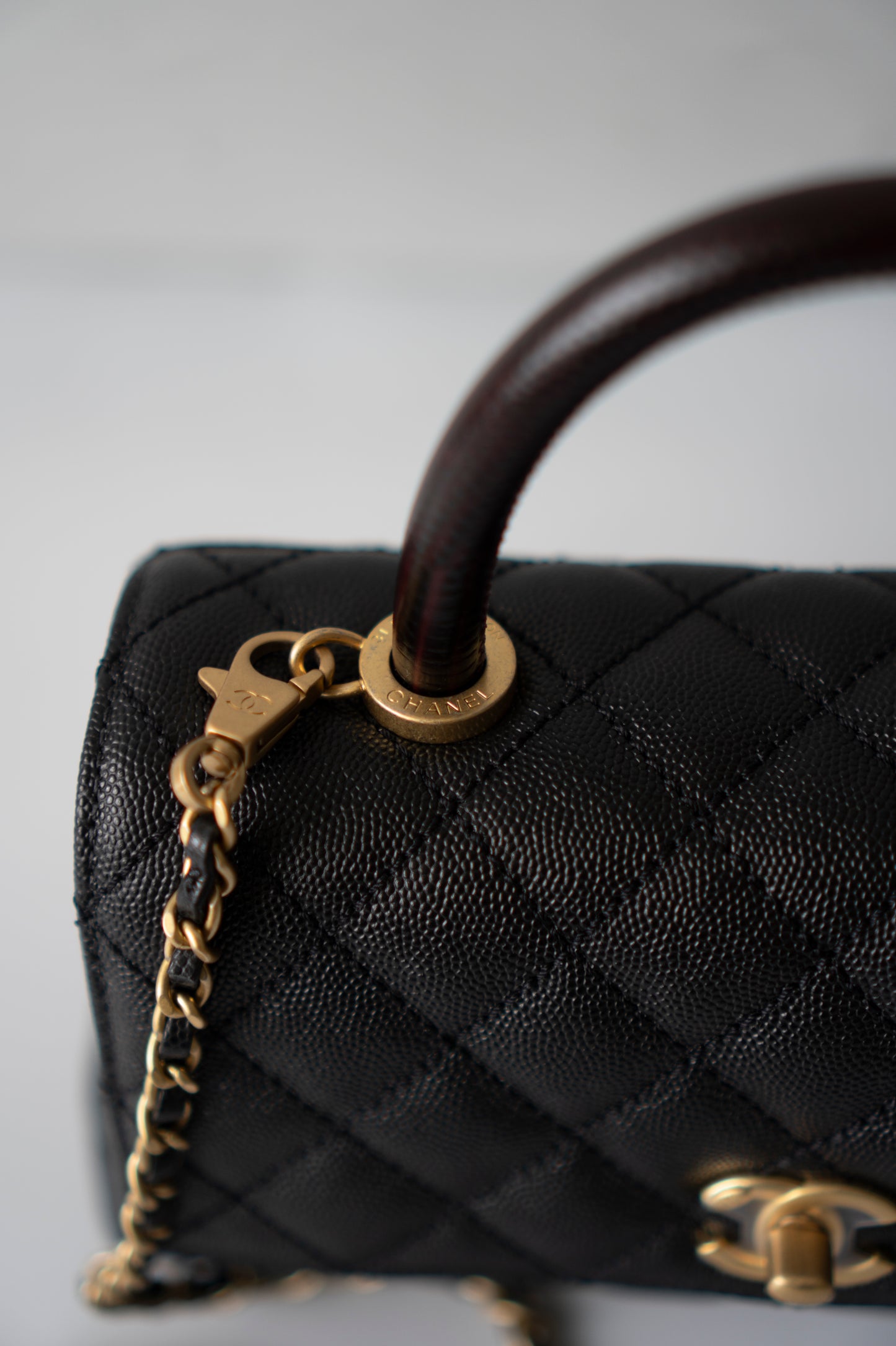 Coco Handle – Black Caviar with Gold Hardware & Snakeskin Handle
