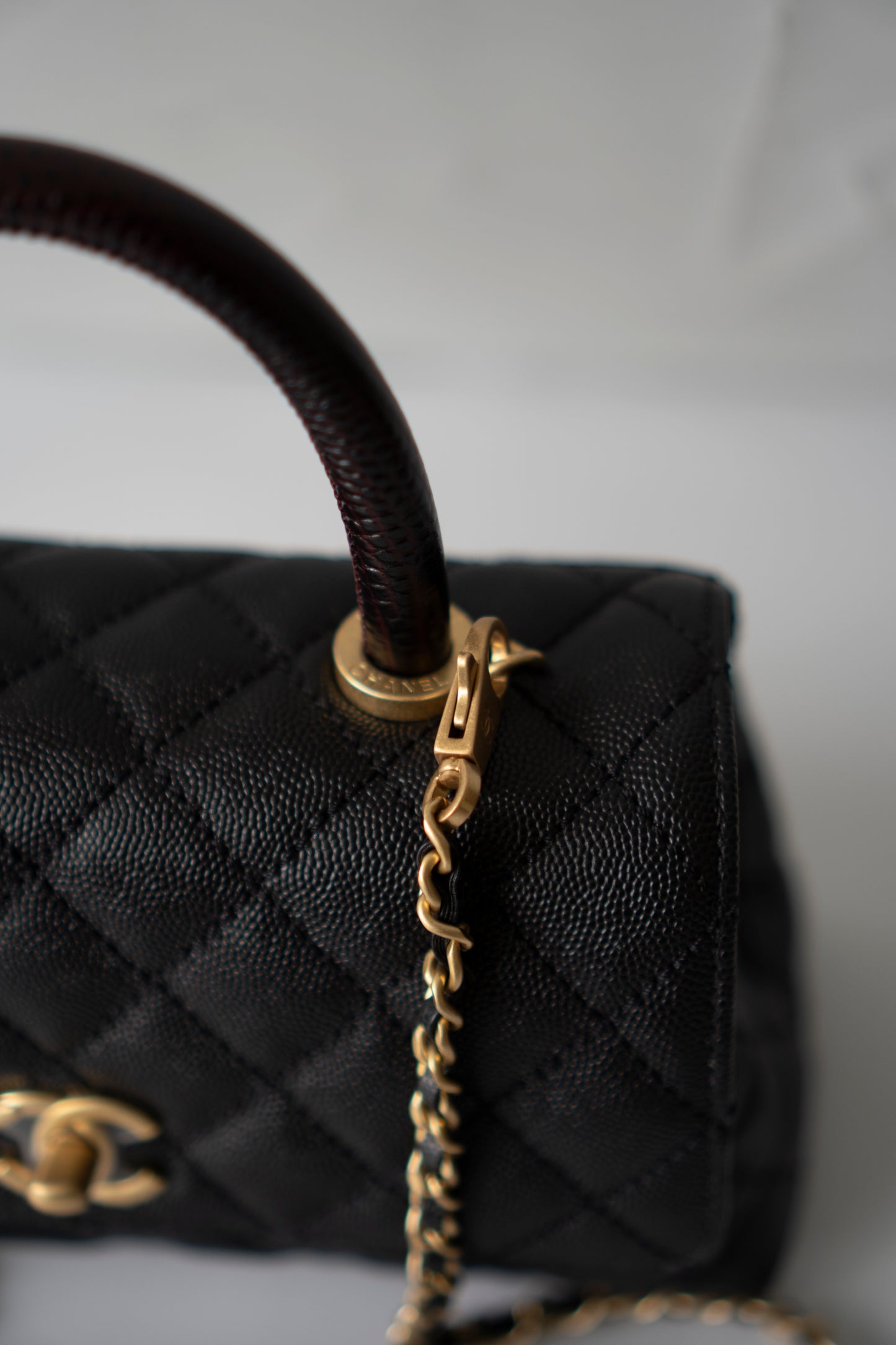 Coco Handle – Black Caviar with Gold Hardware & Snakeskin Handle