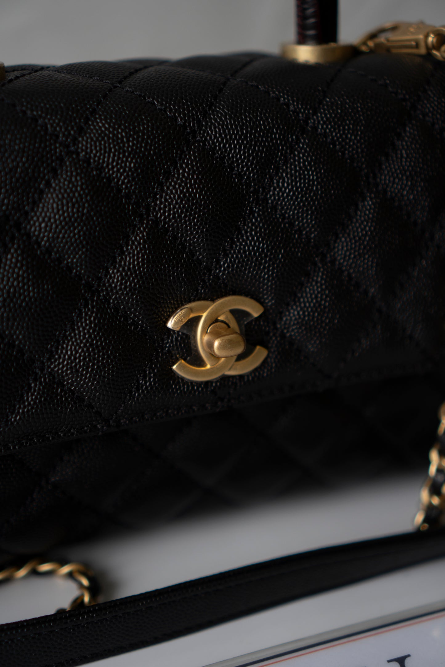 Coco Handle – Black Caviar with Gold Hardware & Snakeskin Handle