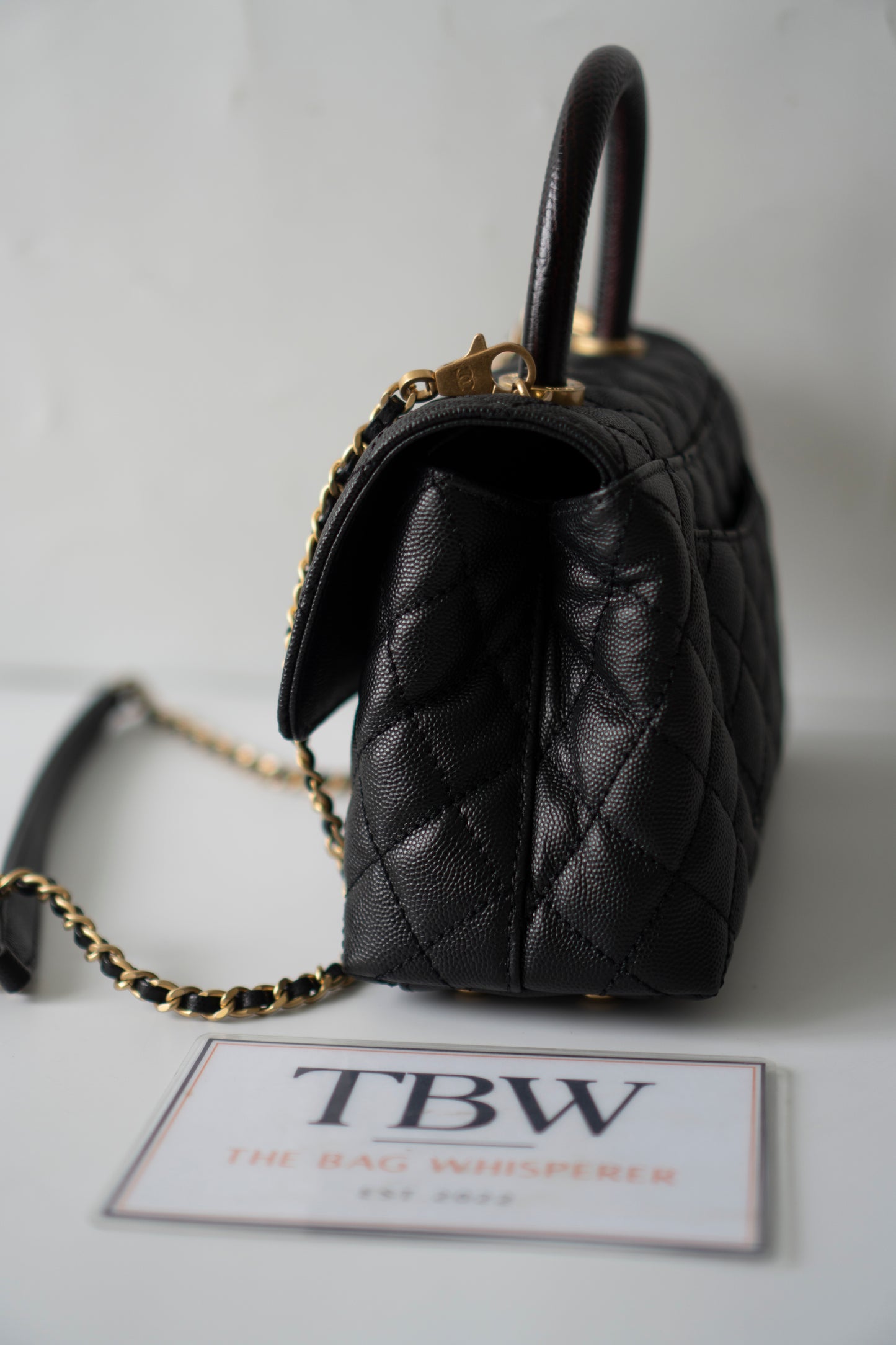 Coco Handle – Black Caviar with Gold Hardware & Snakeskin Handle