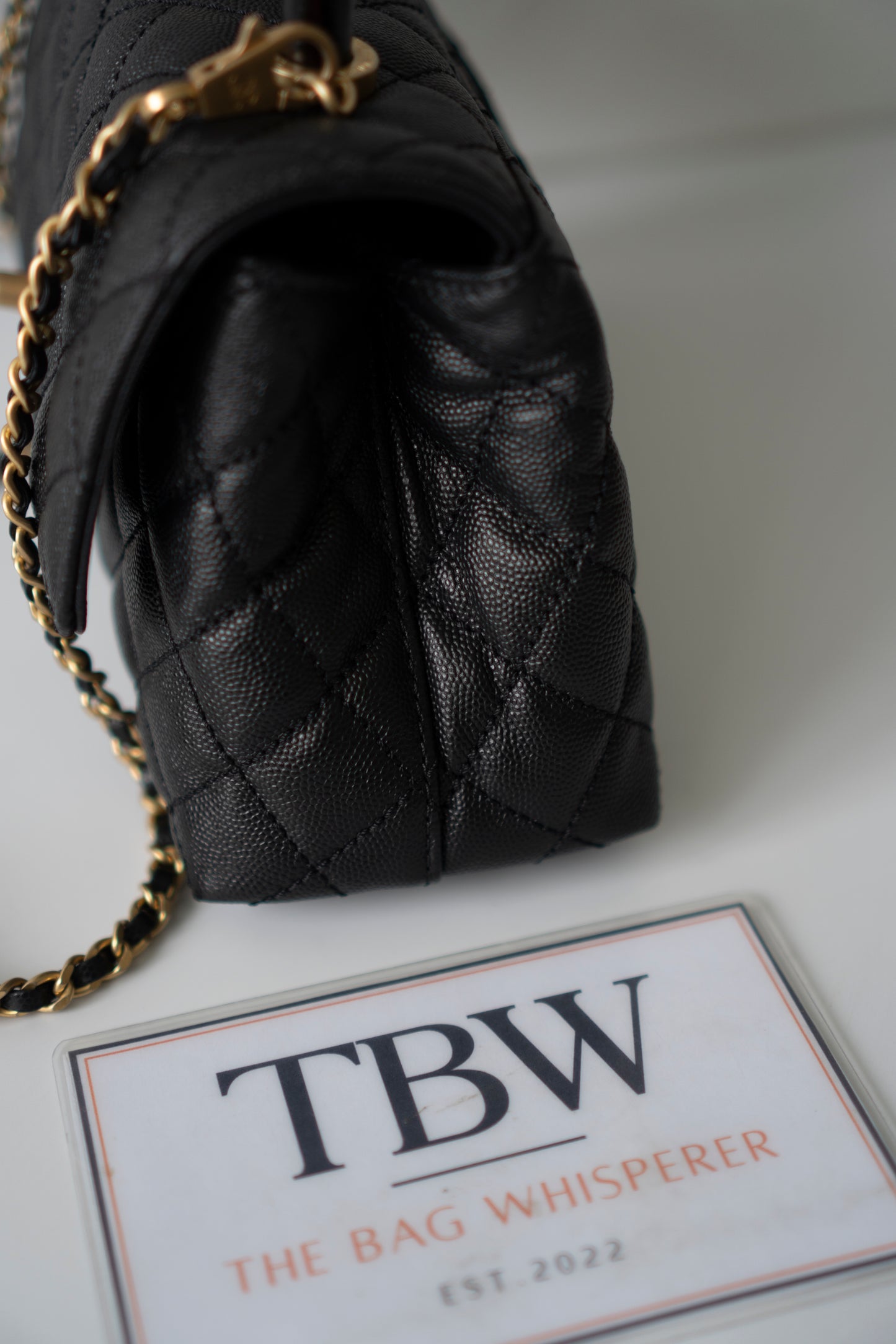 Coco Handle – Black Caviar with Gold Hardware & Snakeskin Handle