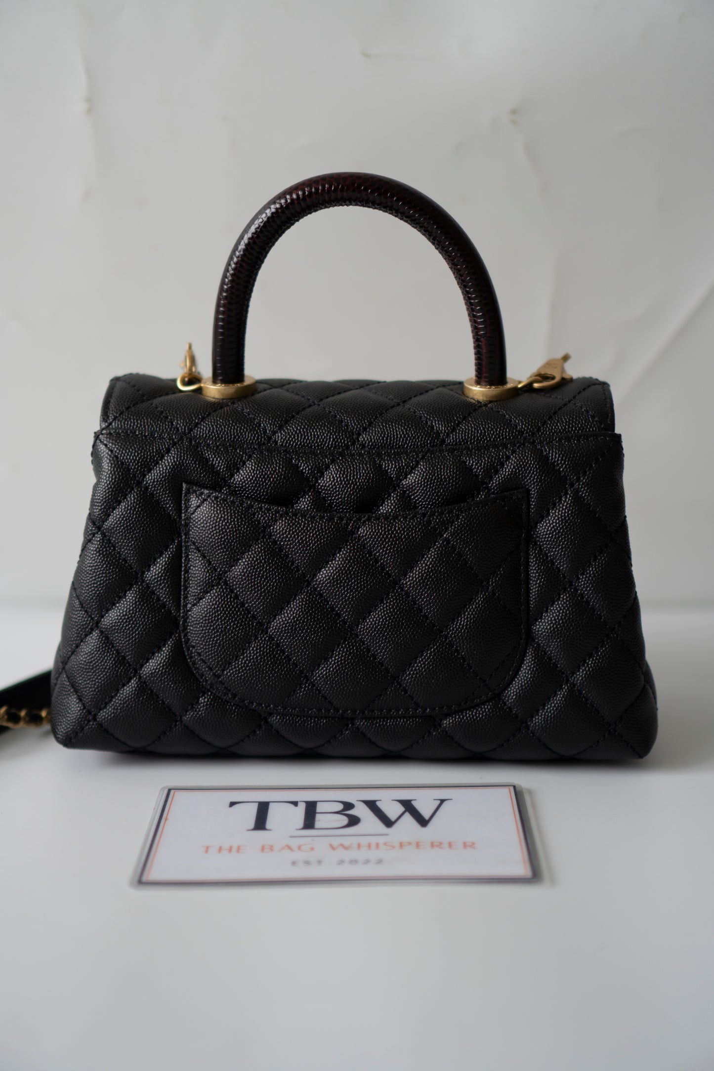 Coco Handle – Black Caviar with Gold Hardware & Snakeskin Handle