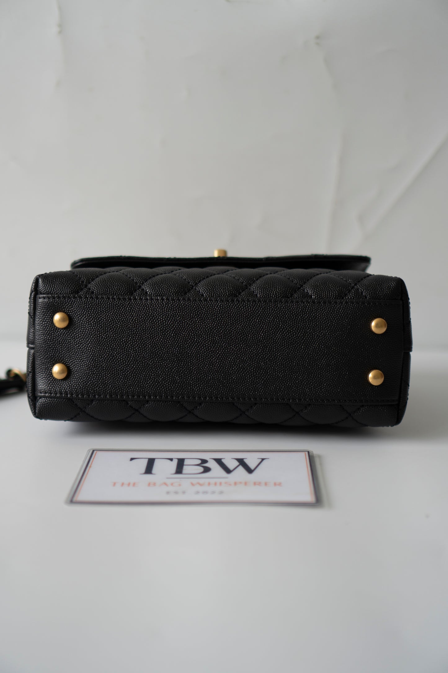 Coco Handle – Black Caviar with Gold Hardware & Snakeskin Handle
