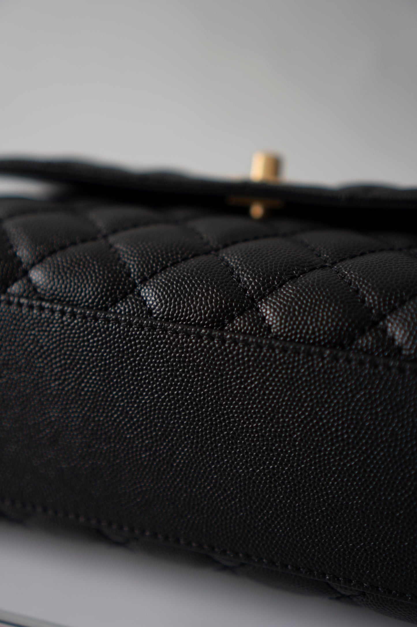 Coco Handle – Black Caviar with Gold Hardware & Snakeskin Handle