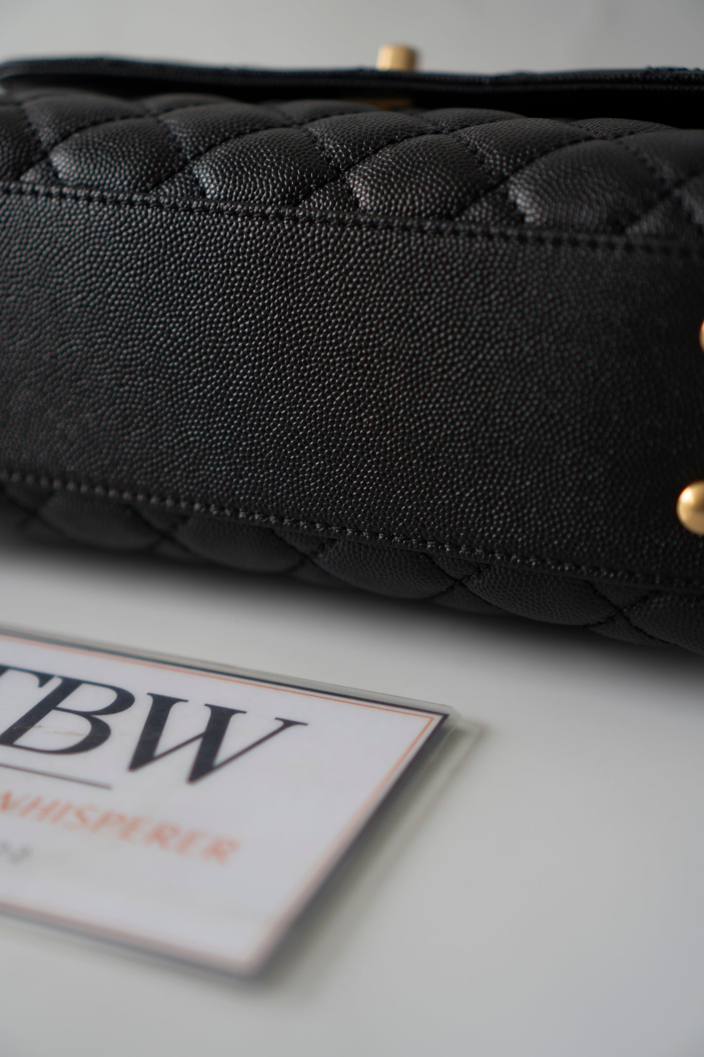 Coco Handle – Black Caviar with Gold Hardware & Snakeskin Handle