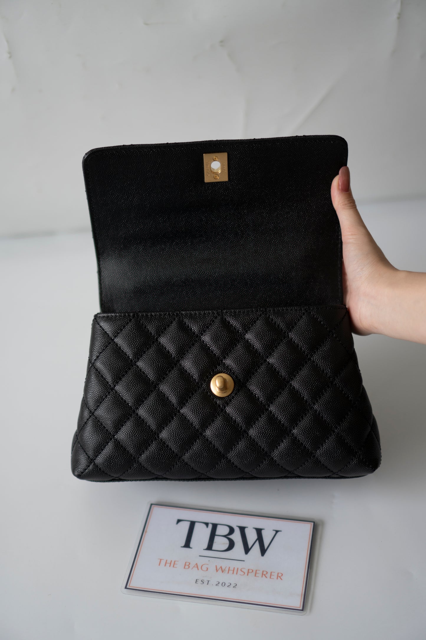 Coco Handle – Black Caviar with Gold Hardware & Snakeskin Handle