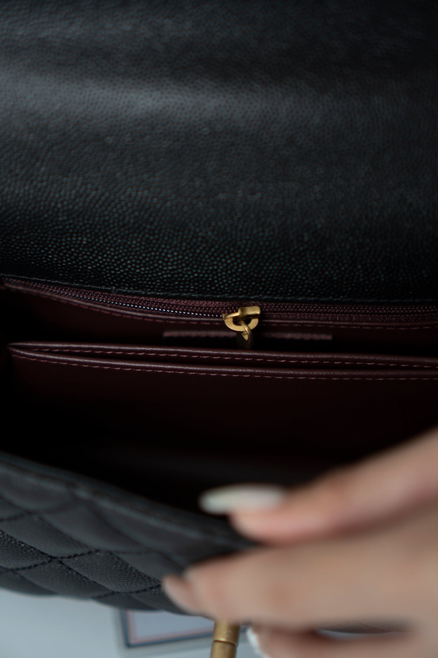 Coco Handle – Black Caviar with Gold Hardware & Snakeskin Handle