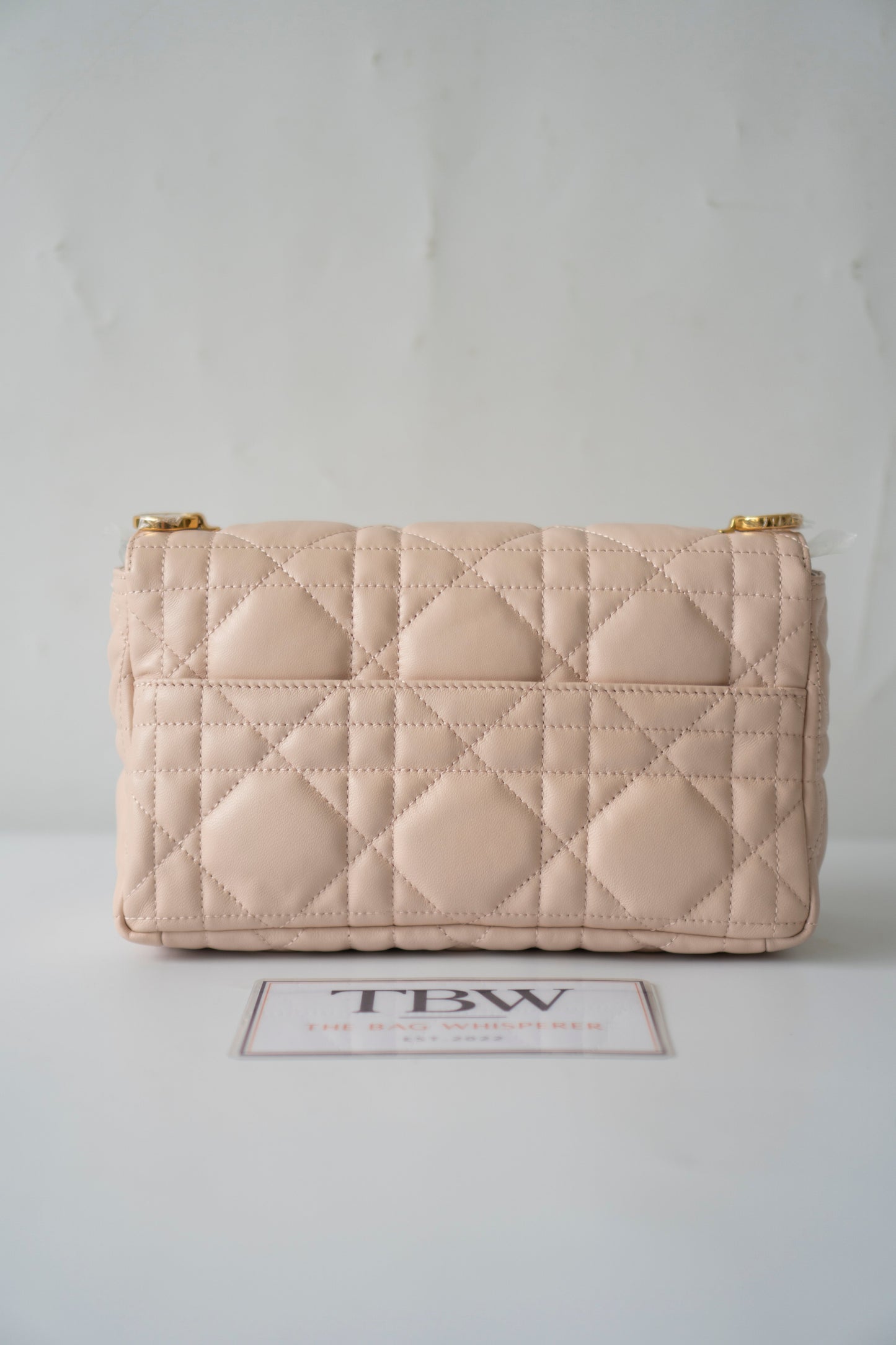 Caro Medium – Powder Beige Lambskin with Gold Hardware