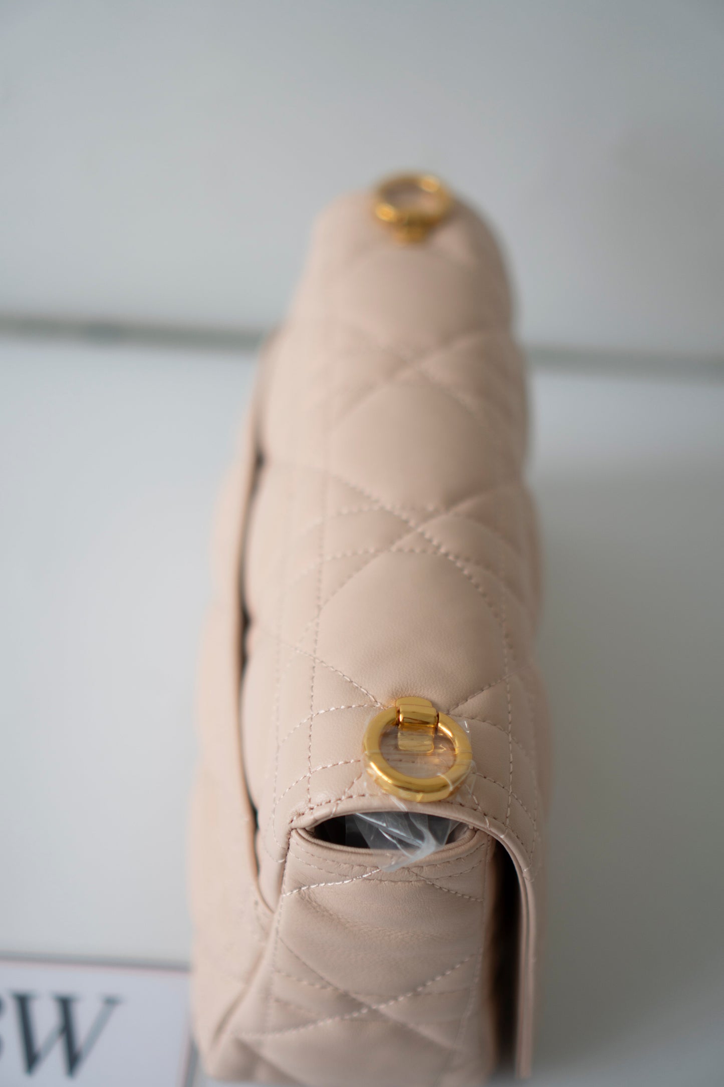 Caro Medium – Powder Beige Lambskin with Gold Hardware