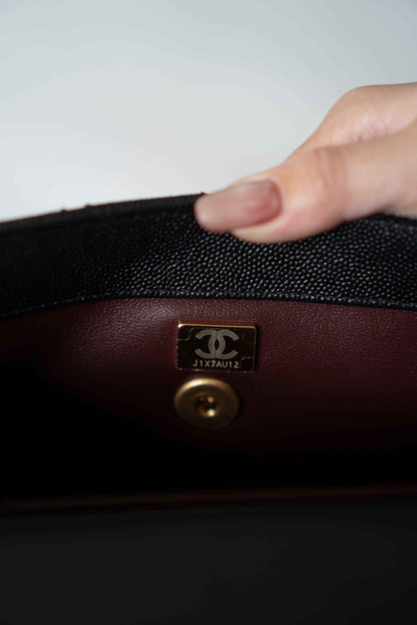 Coco Handle – Black Caviar with Gold Hardware & Snakeskin Handle