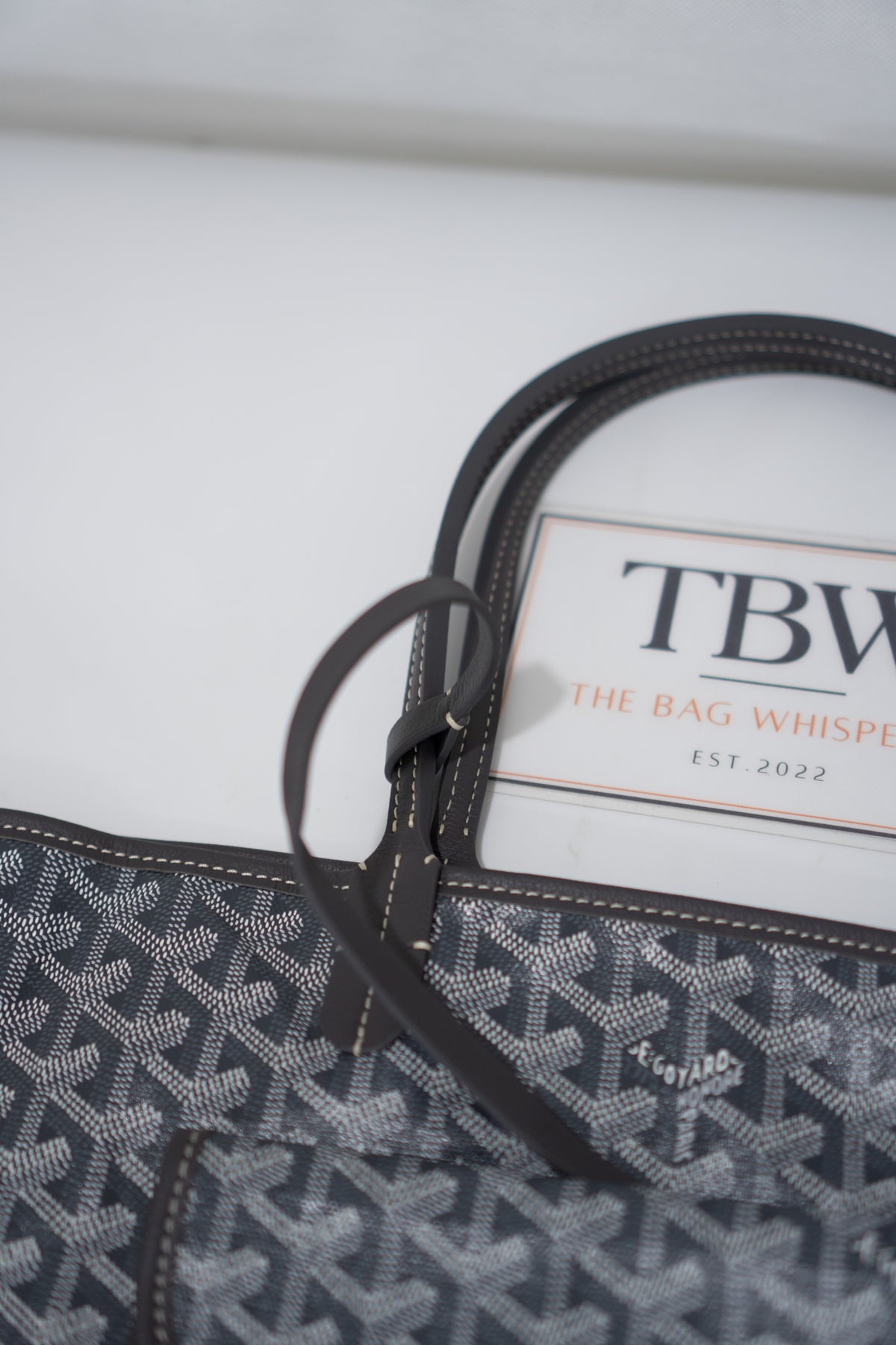 Saint Louis PM – Grey Canvas Tote Bag